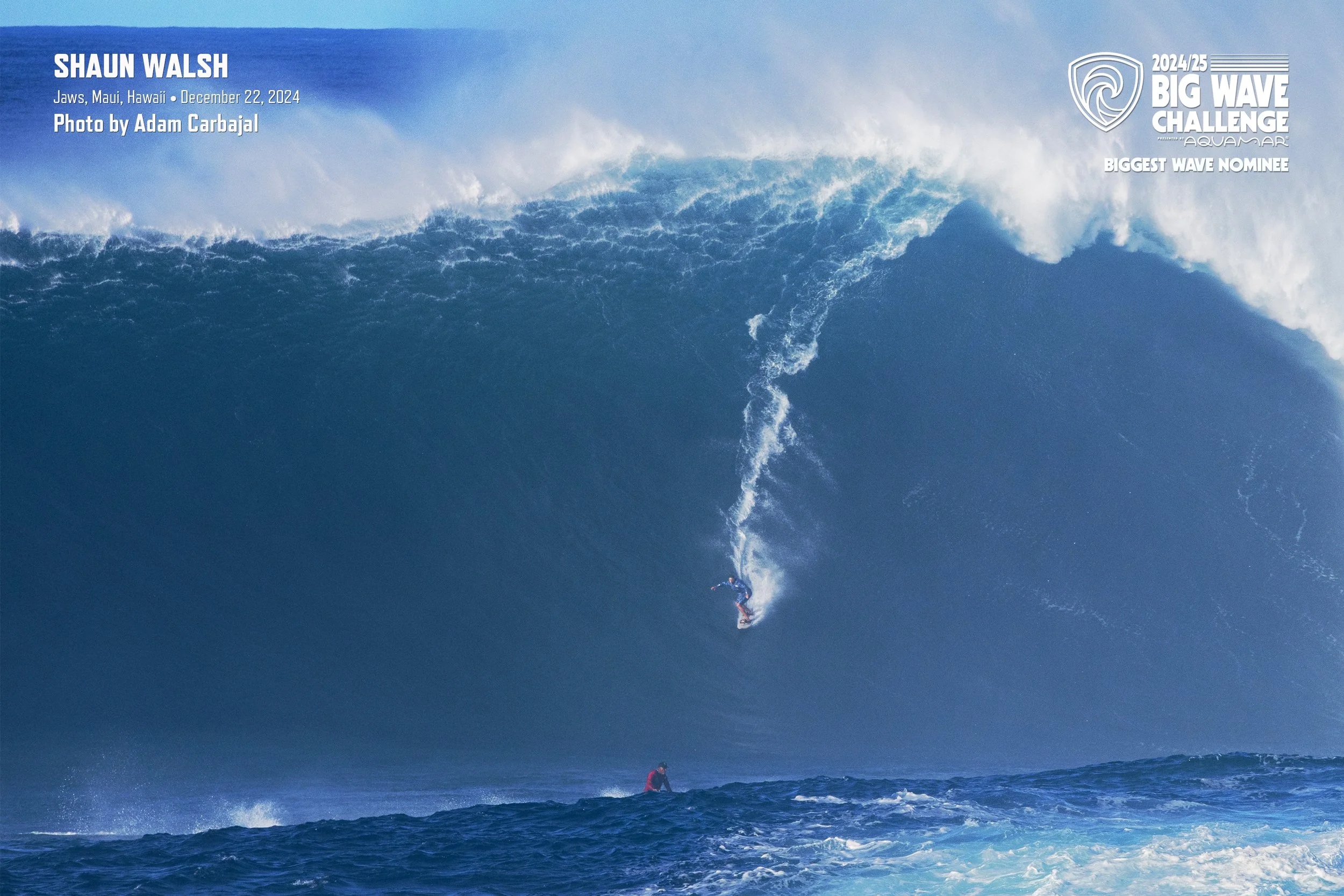BWC25MBigNom_WalshSJawsDec22Carbajal.jpg