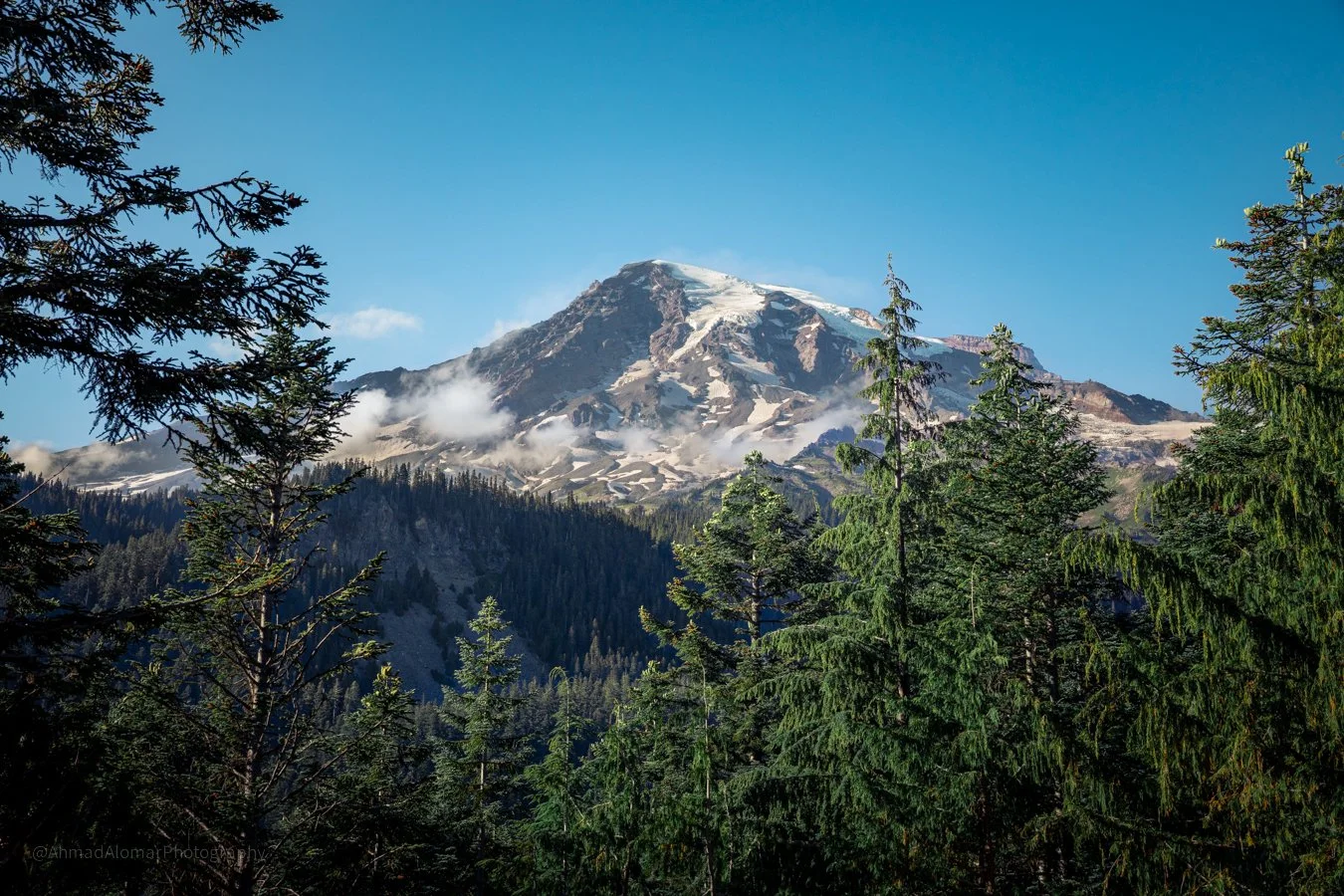 Rainier Days