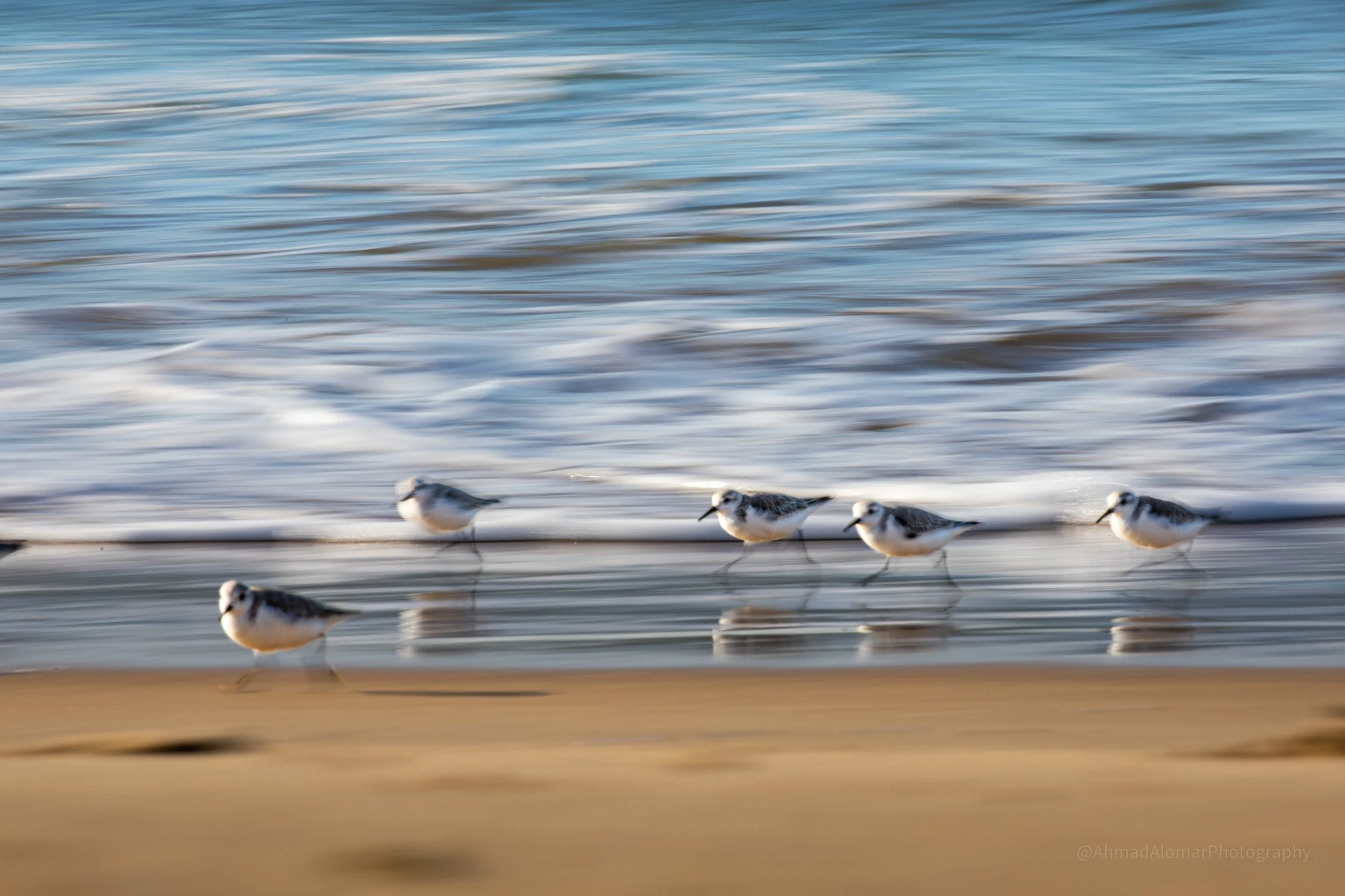 Racing Waves