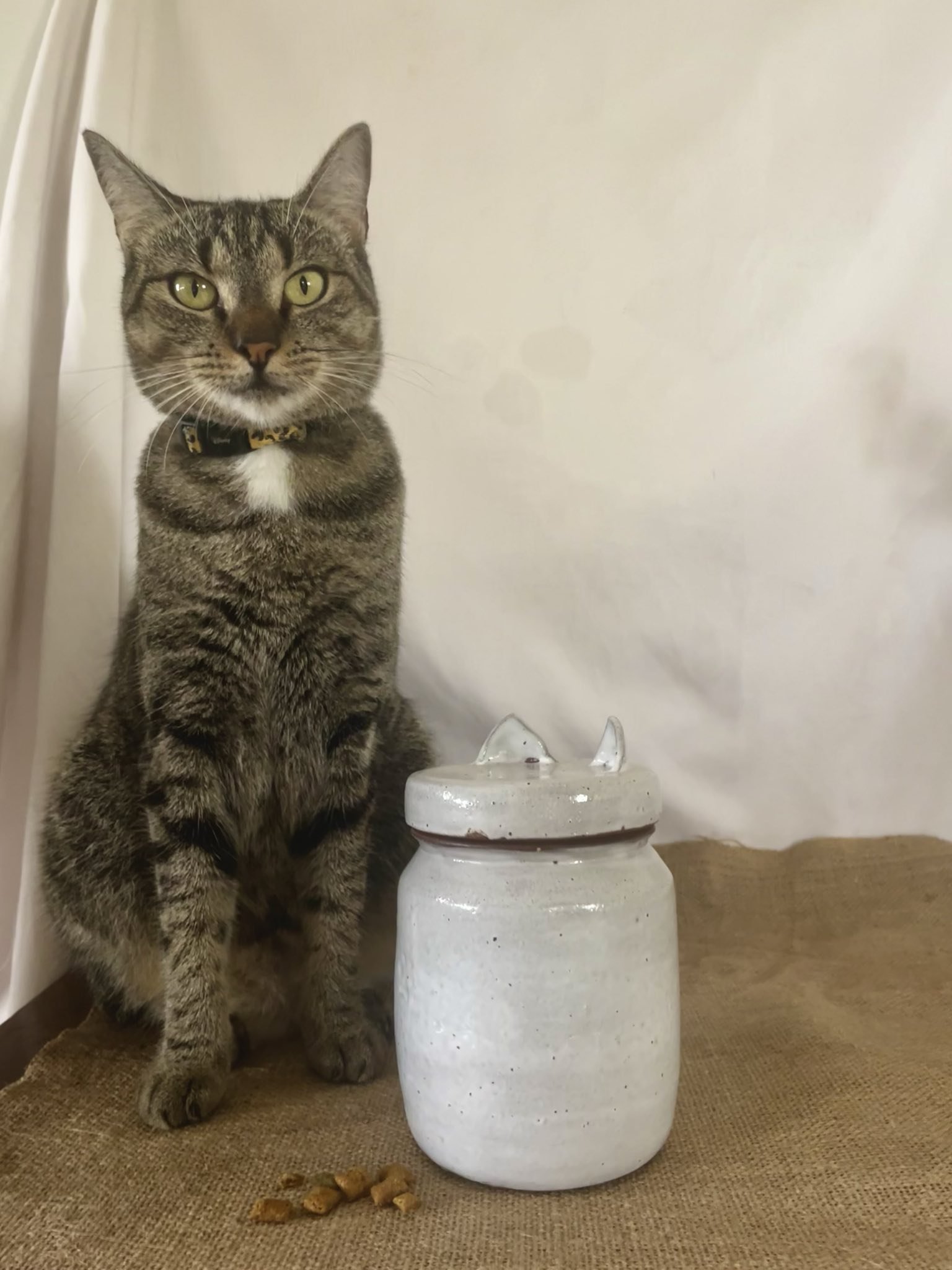 nala cat jar.jpeg