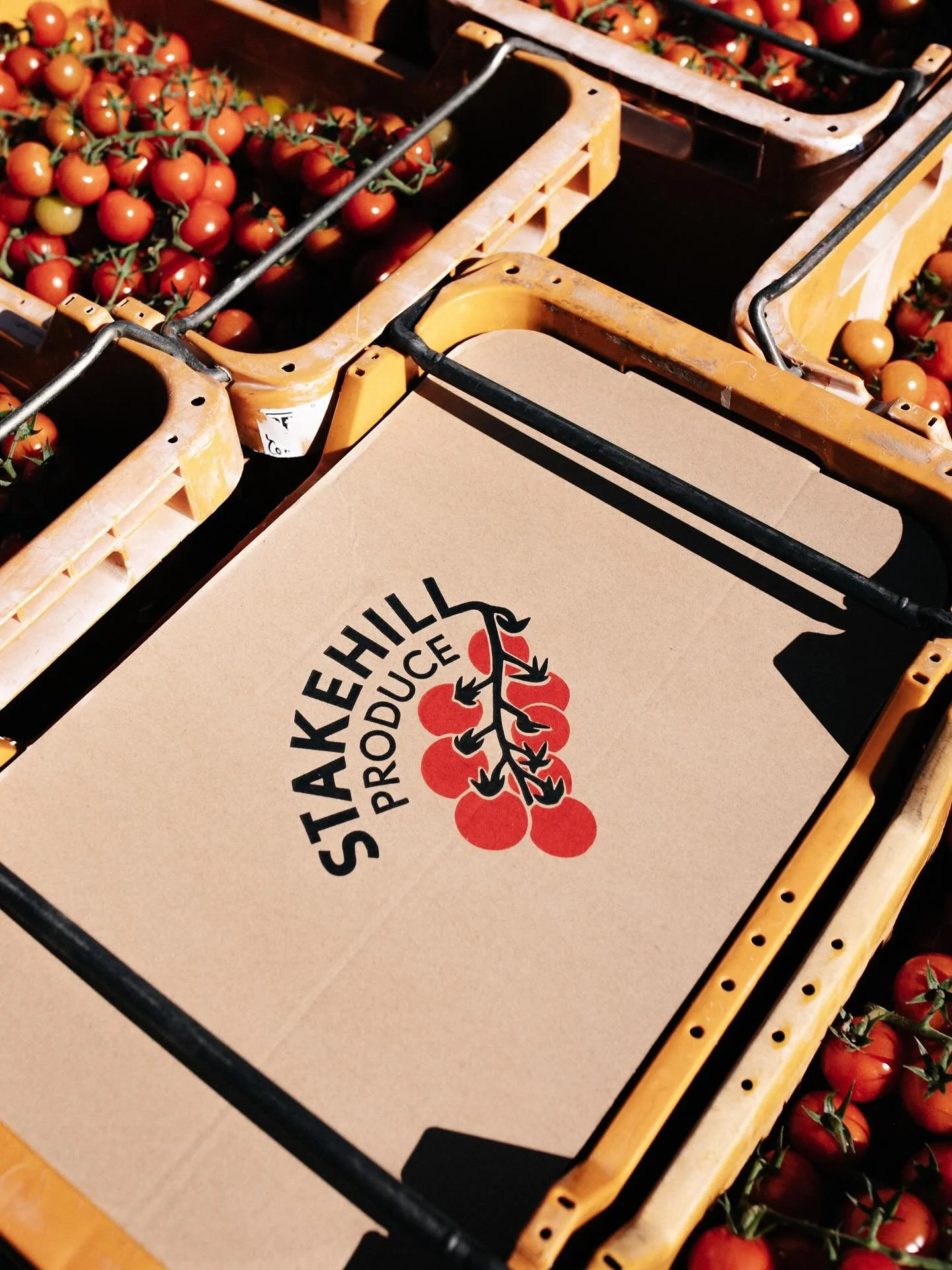 Wholesale Update 🍅

We&rsquo;re excited to share that we now have a small capacity to open up a few wholesale options for local businesses and retailers.

If you&rsquo;re interested in stocking our produce, get in touch &mdash; spaces are limited as