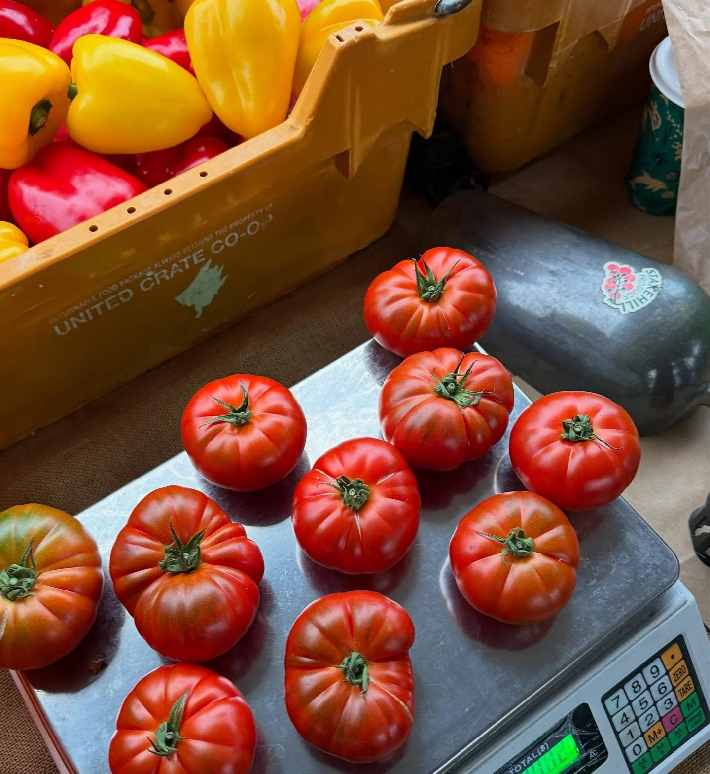 BTS (behind the scoops) 

#localproduce #farmersmarket #farming #hydroponics