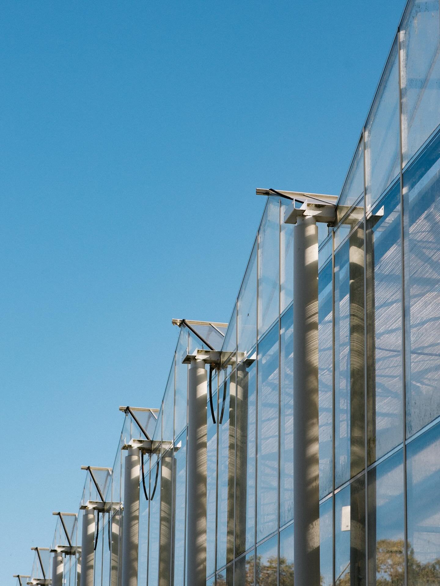A few frames from @adamkennaphoto 🍅❤️
