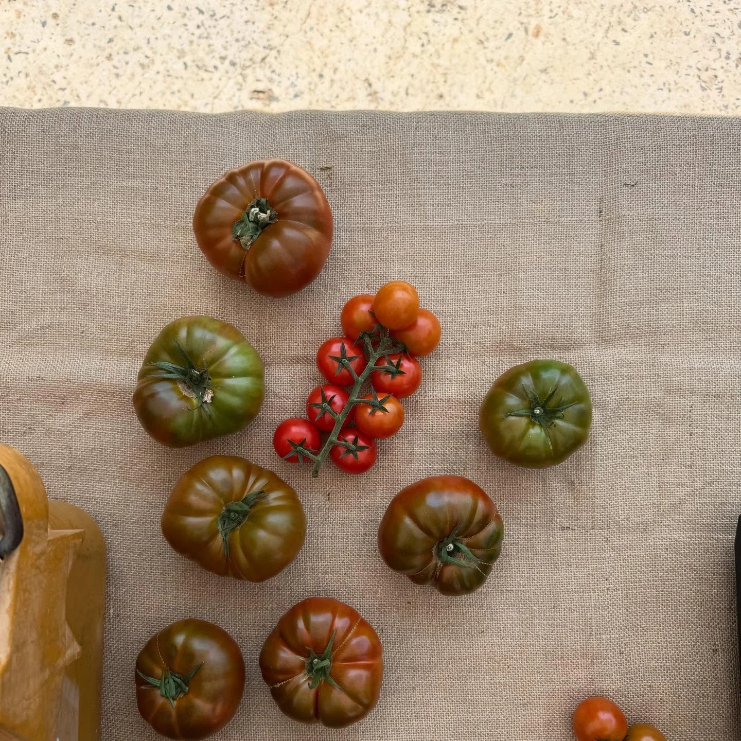 Today&rsquo;s tomatoes!