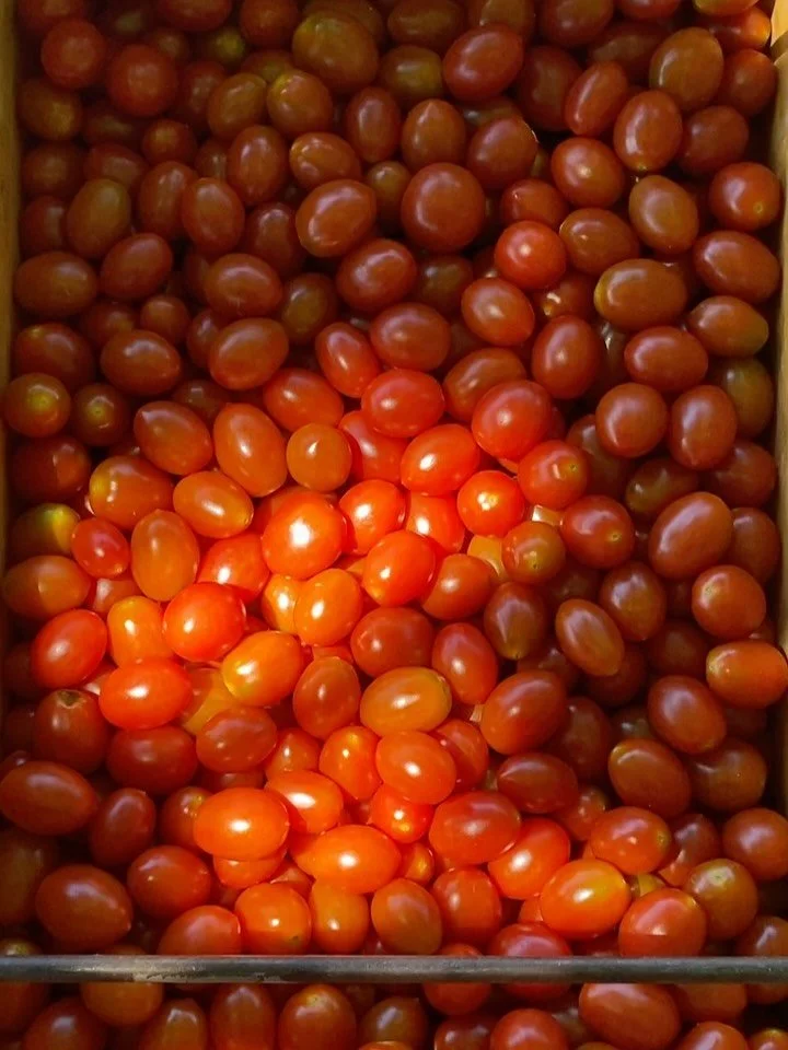 Another lovely weekend at the markets.