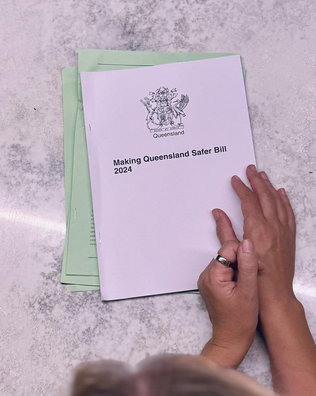 Premier David Chrisafulli has introduced his bill to further reform Queenslands youth justice system.

This bill introduces &ldquo;Adult Time for Adult Crime&rdquo; and includes mandatory sentencing for children aged 10-17.

The Government has opted 
