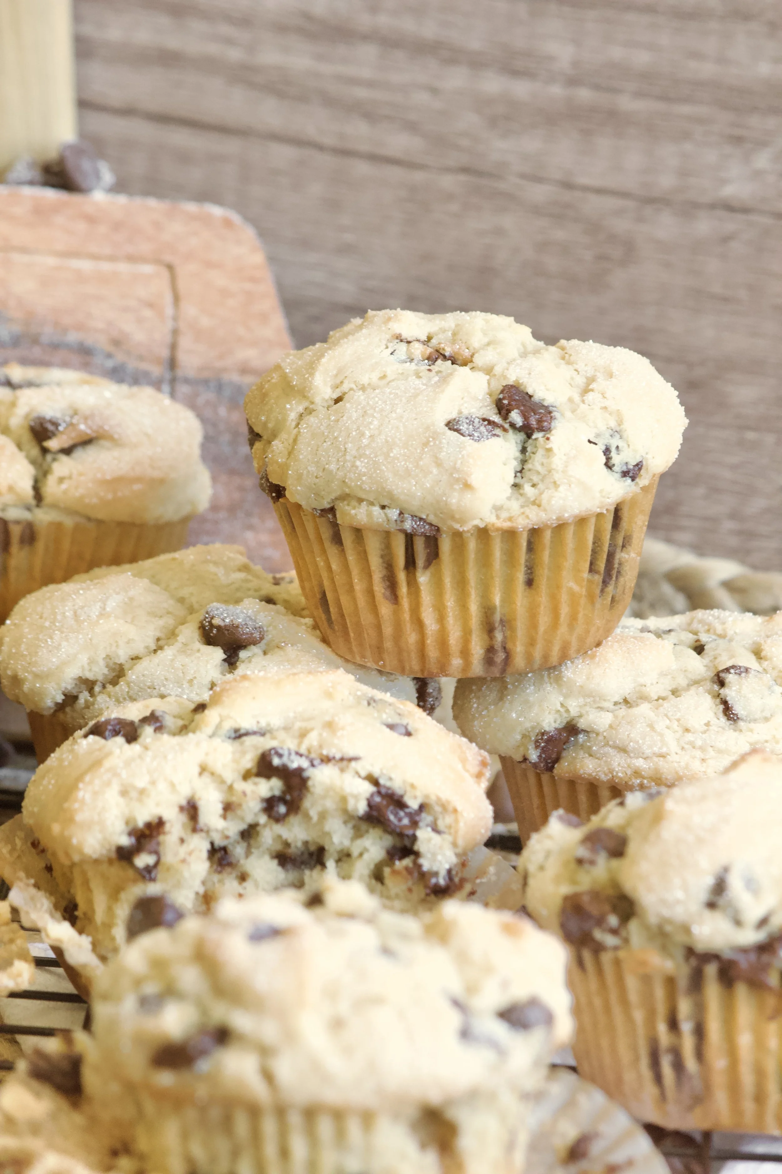 chocolate chip muffins