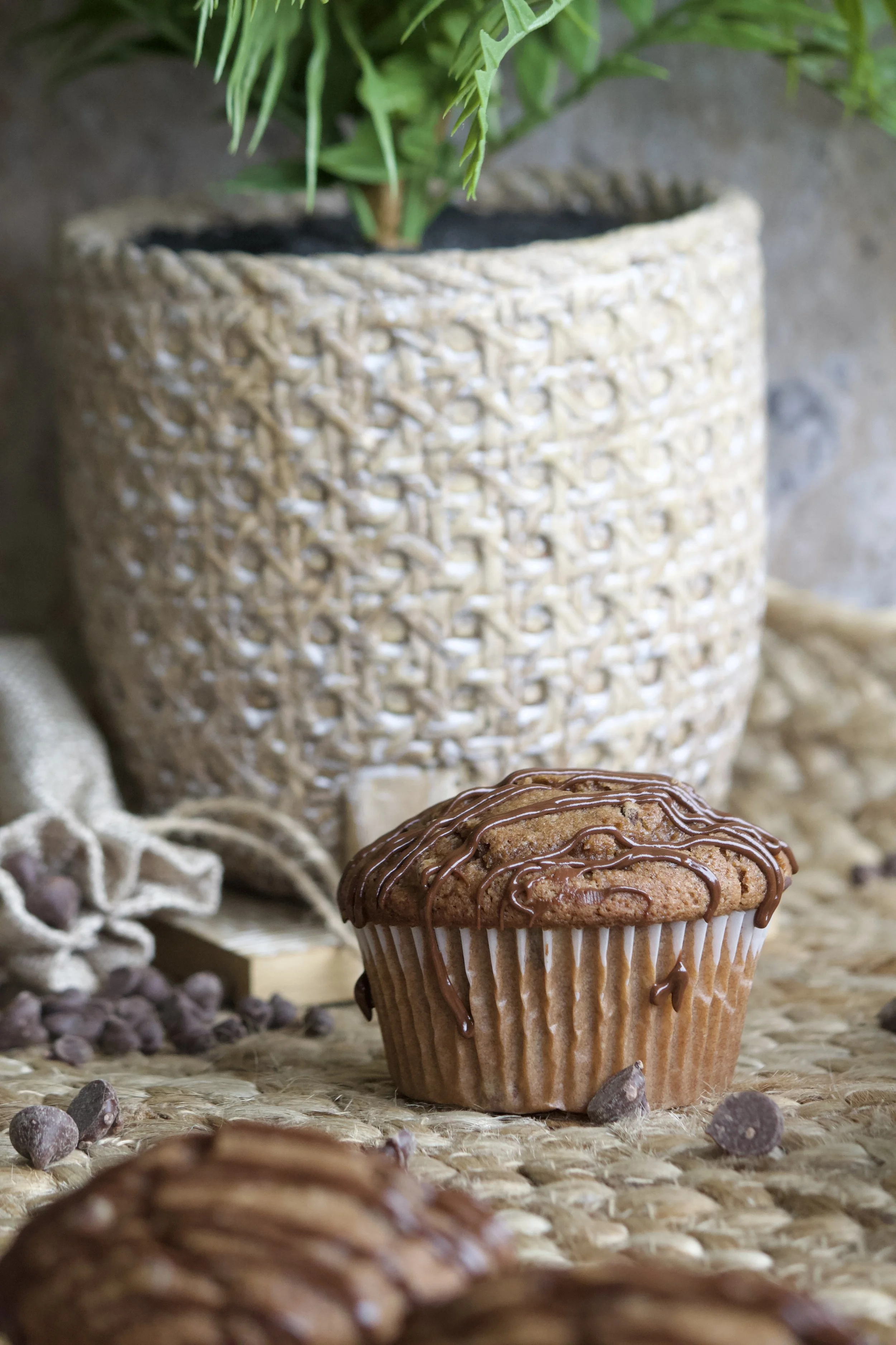 cappuccino muffin with chocolate chips and chocolate drizzle