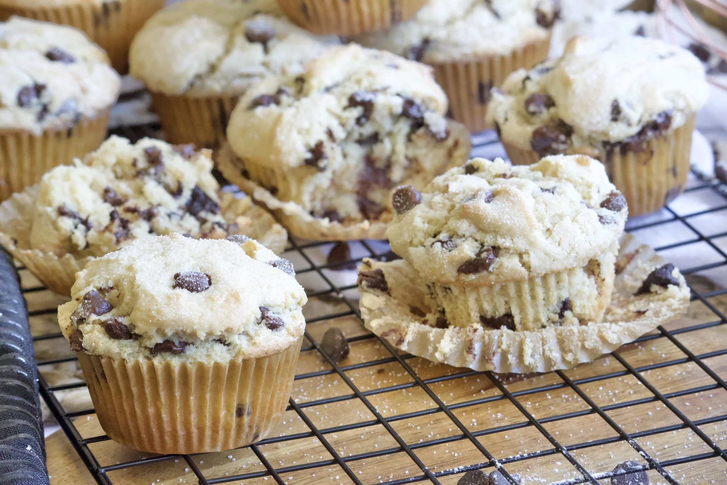 chocolate chip muffins