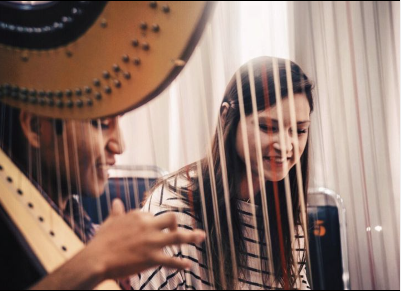 mexico harp 1.png