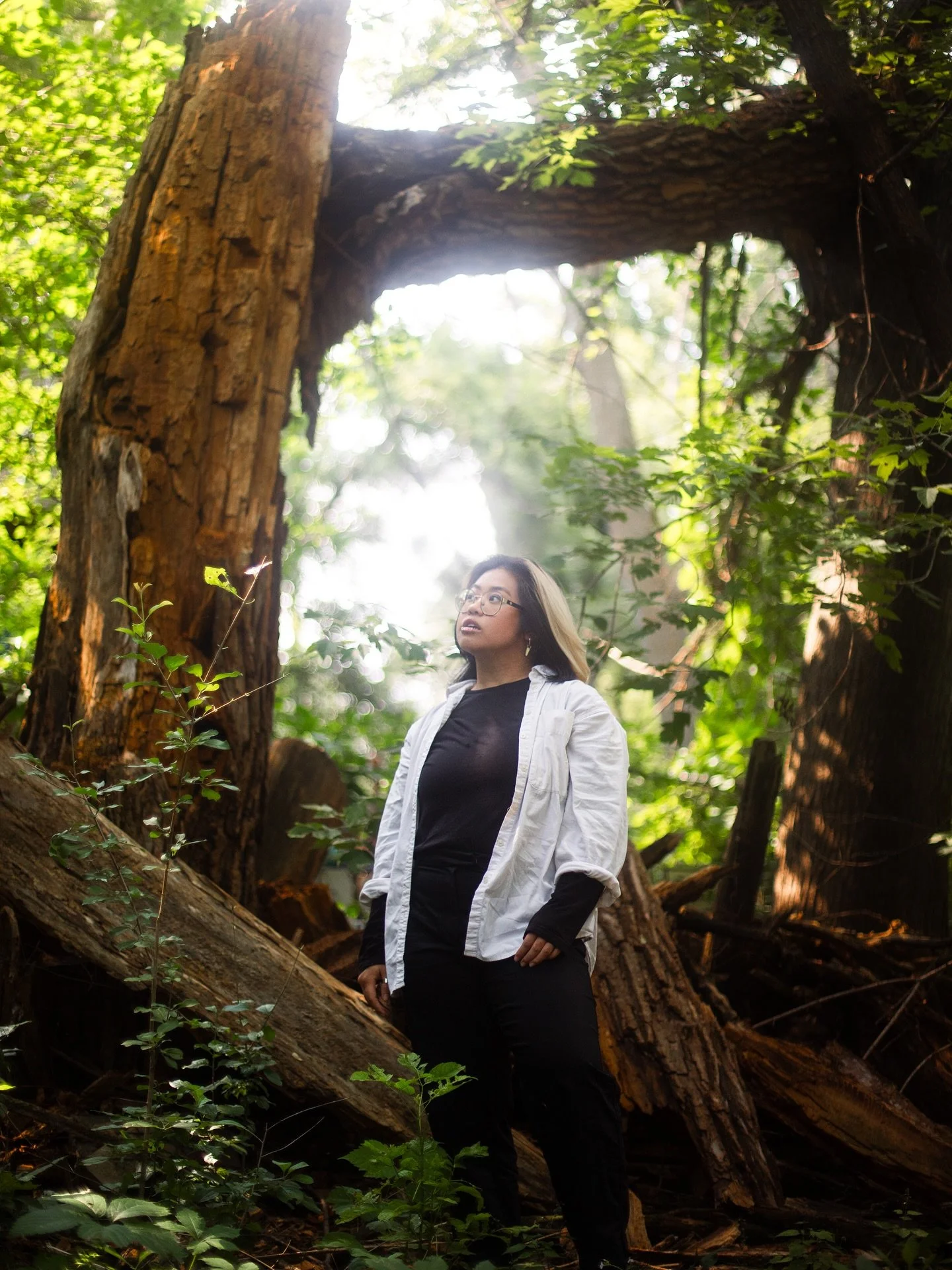 Every year, there&rsquo;s a tree in my neighborhood that turns into the most beautiful blazing red when the seasons change from summer to fall. I would look at the tree and be reminded that season changes are real. 

However, in recent years I realiz