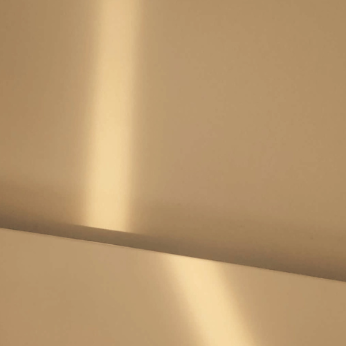 Am I in Survival Mode? Understanding the Impact of Betrayal Trauma on Your Body and Mind