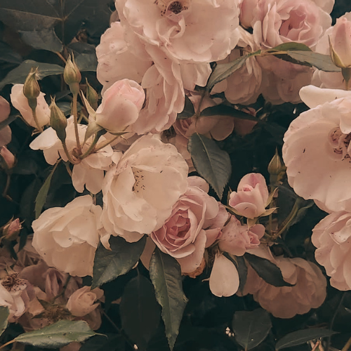 Finding Yourself After Betrayal: Reconnecting with Who You Are