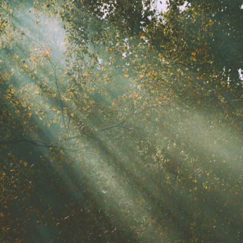 Some News (and what it might mean for you)