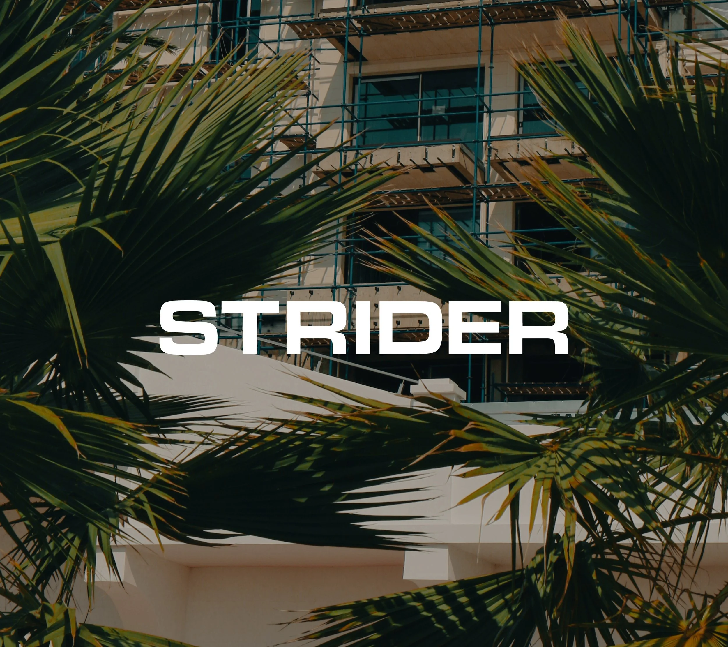 Strider Project Management