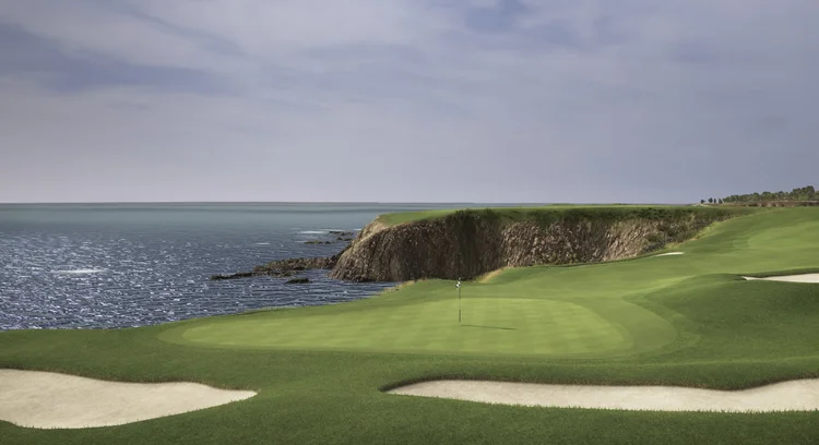 Swing Theory - Photo 3