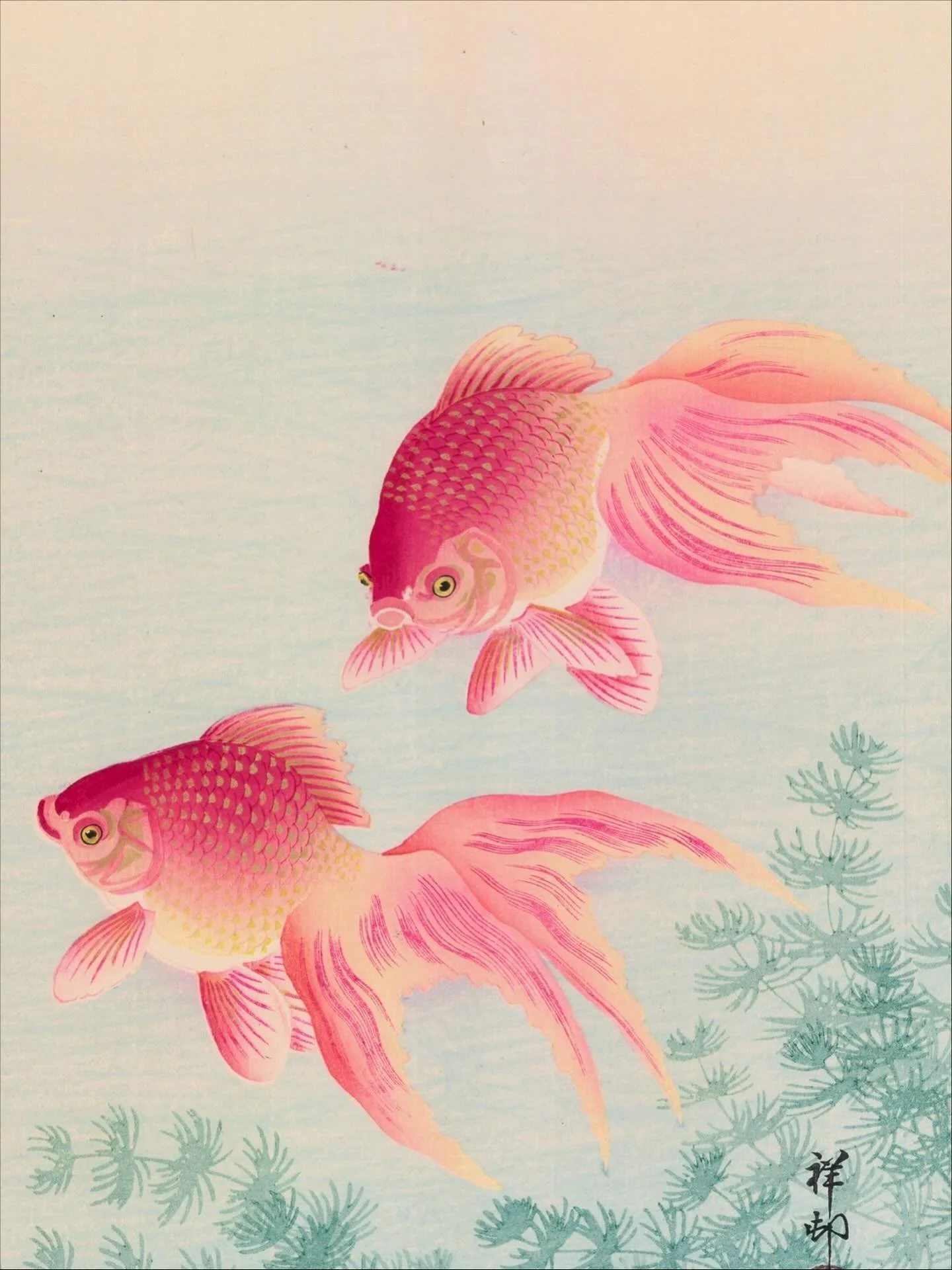 小原古邨 Ohara Koson (1877-1945)

金魚
Two Goldfish

Ca. 1926

For more information on the artwork visit the website in our bio.
&middot;
&middot;
&middot;
&middot;
&middot;
&middot;
#artofukiyoe #ukiyoe #woodblockprint #oharakoson  #japan #japaneseart #ar