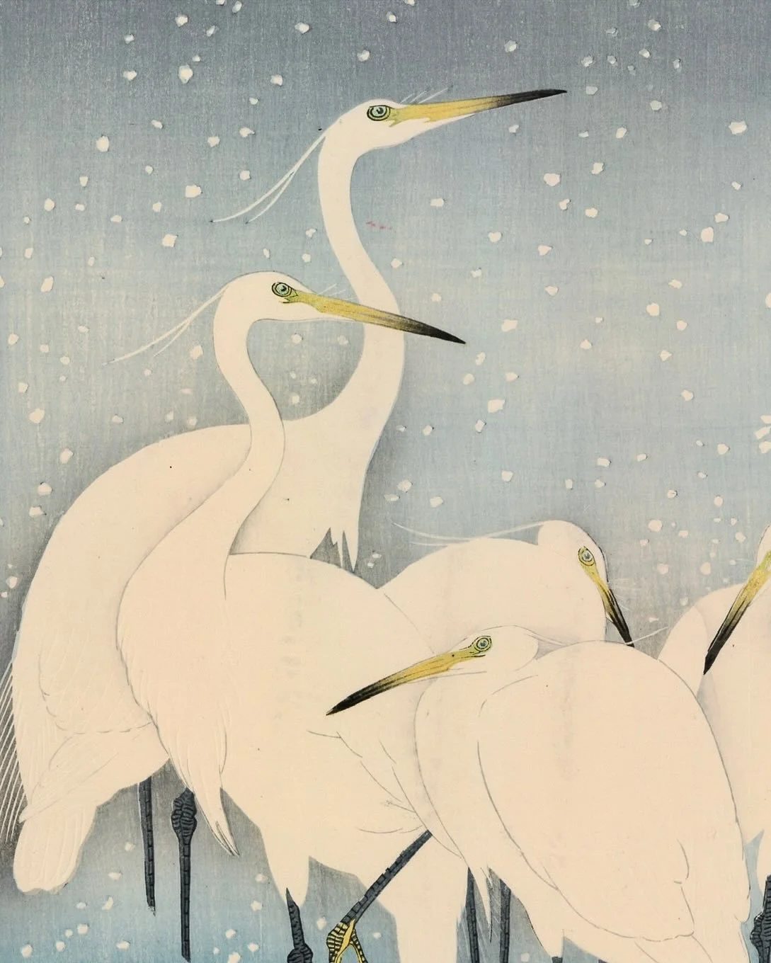 小原古邨 Ohara Koson (1877-1945)

雪中の鷺 Egrets in the Snow

Ca, 1927

For more information on the artwork visit the website in our bio.
&middot;
&middot;
&middot;
&middot;
&middot;
#artofukiyoe #ukiyoe #woodblockprint #oharakoson  #japan #japaneseart #art