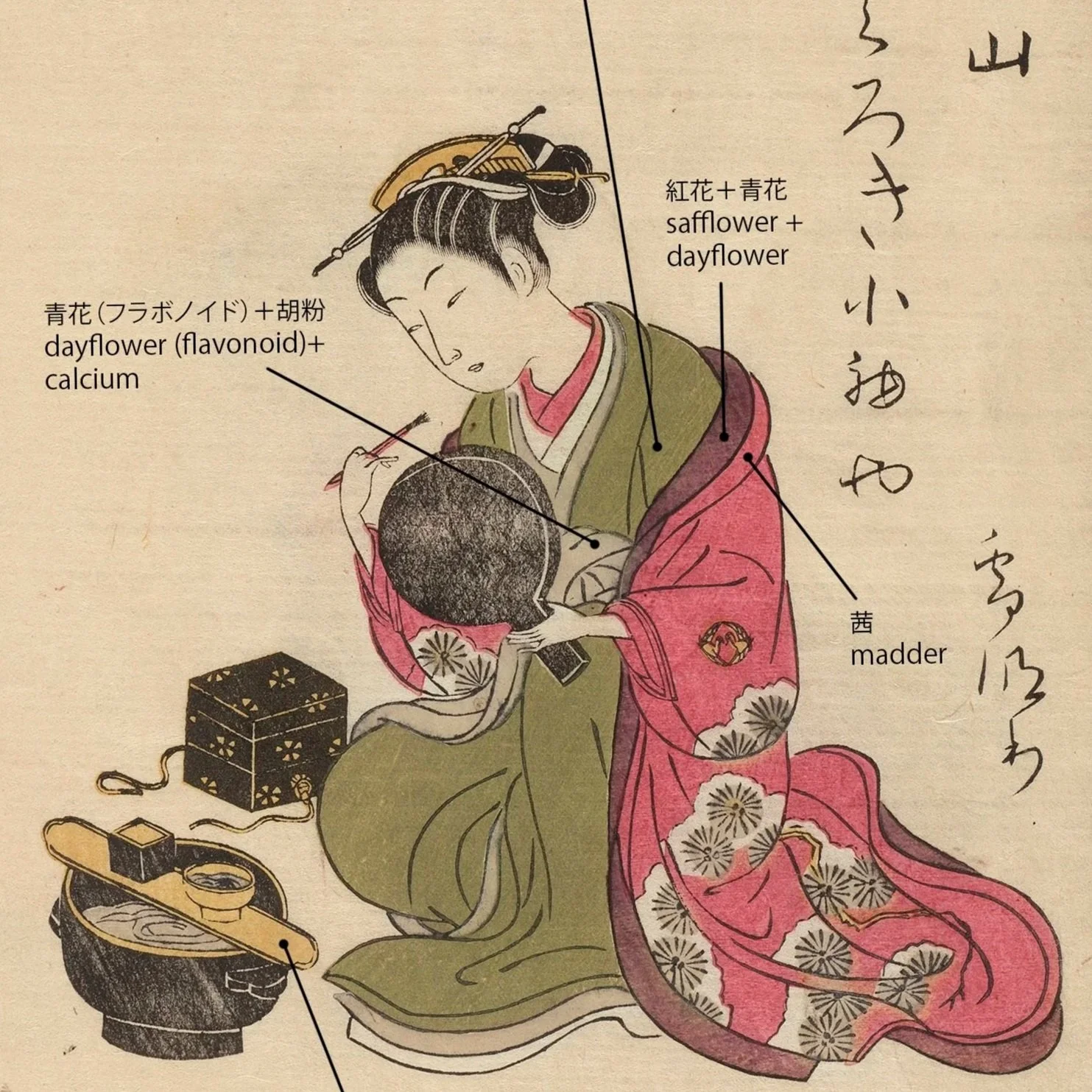 所求何色:从铃木春信《绘本青楼美人合》探索色彩