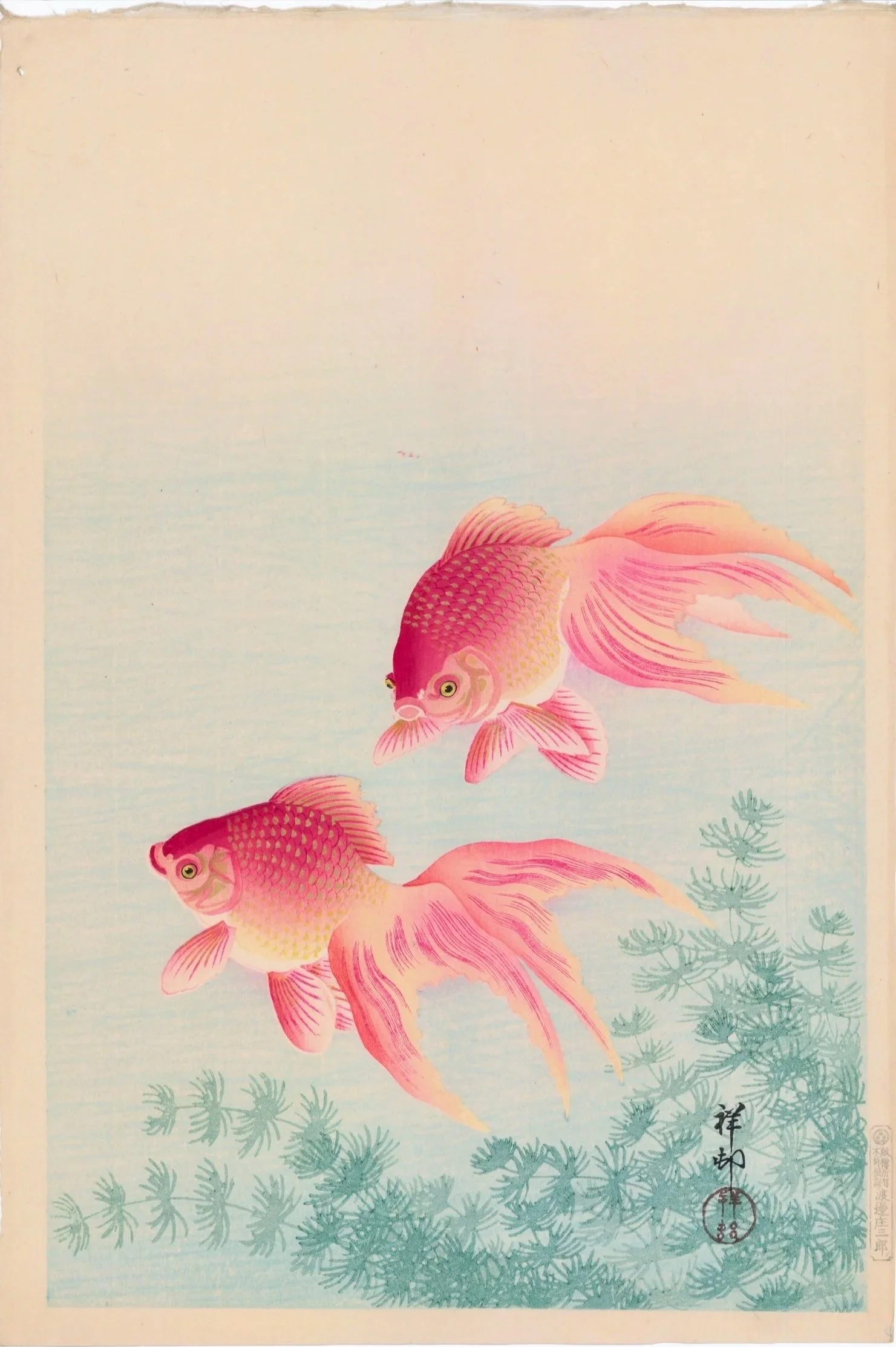 Koson | Two Goldfish