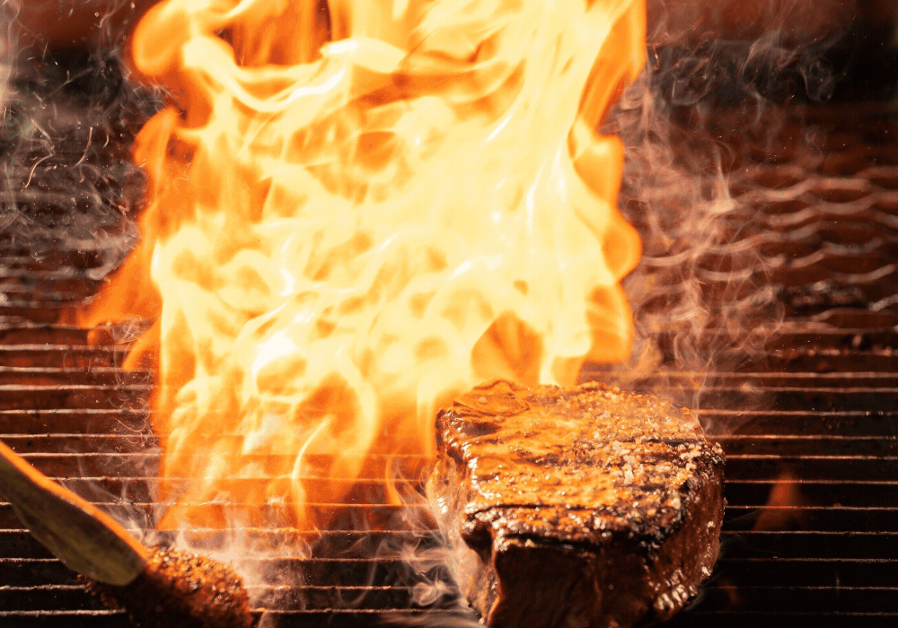 meat & grain EDM GIF.gif