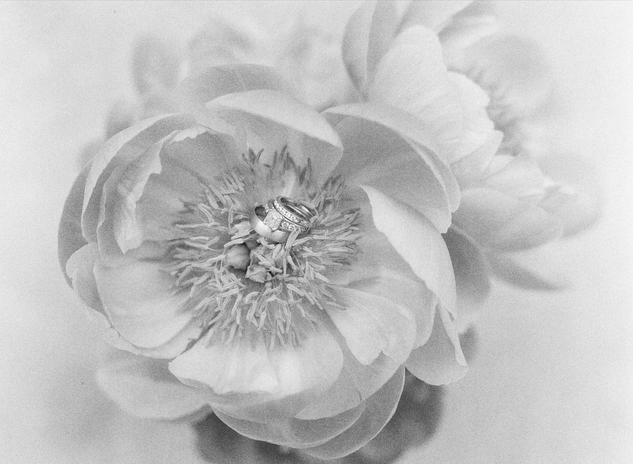 Black and white photo of wedding rings