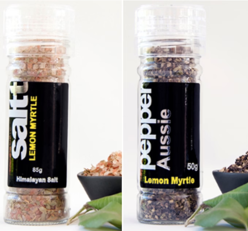 New Social Enterprise Venture Opportunity