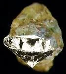 We Tipped It Mob Style! SevGen Gets Crowdfunded to the Social Marketplace