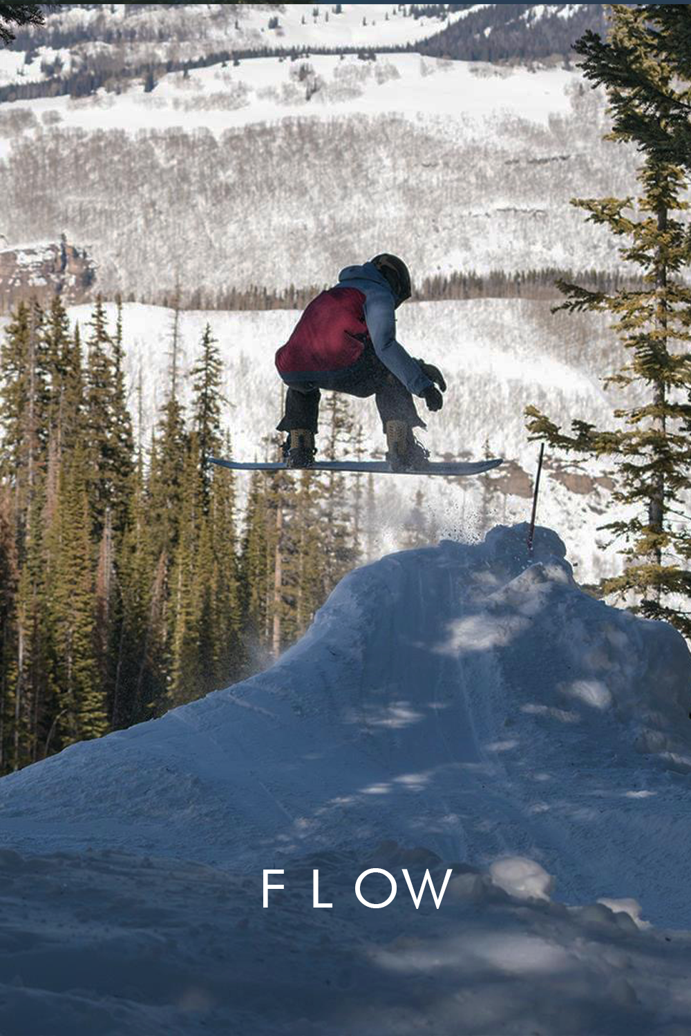 FLOW.png