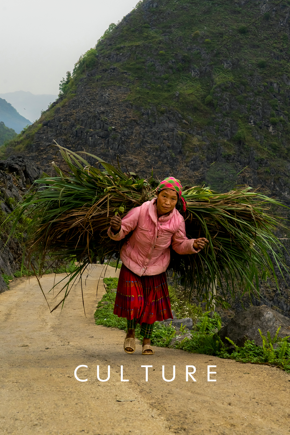 Culture NEw.png