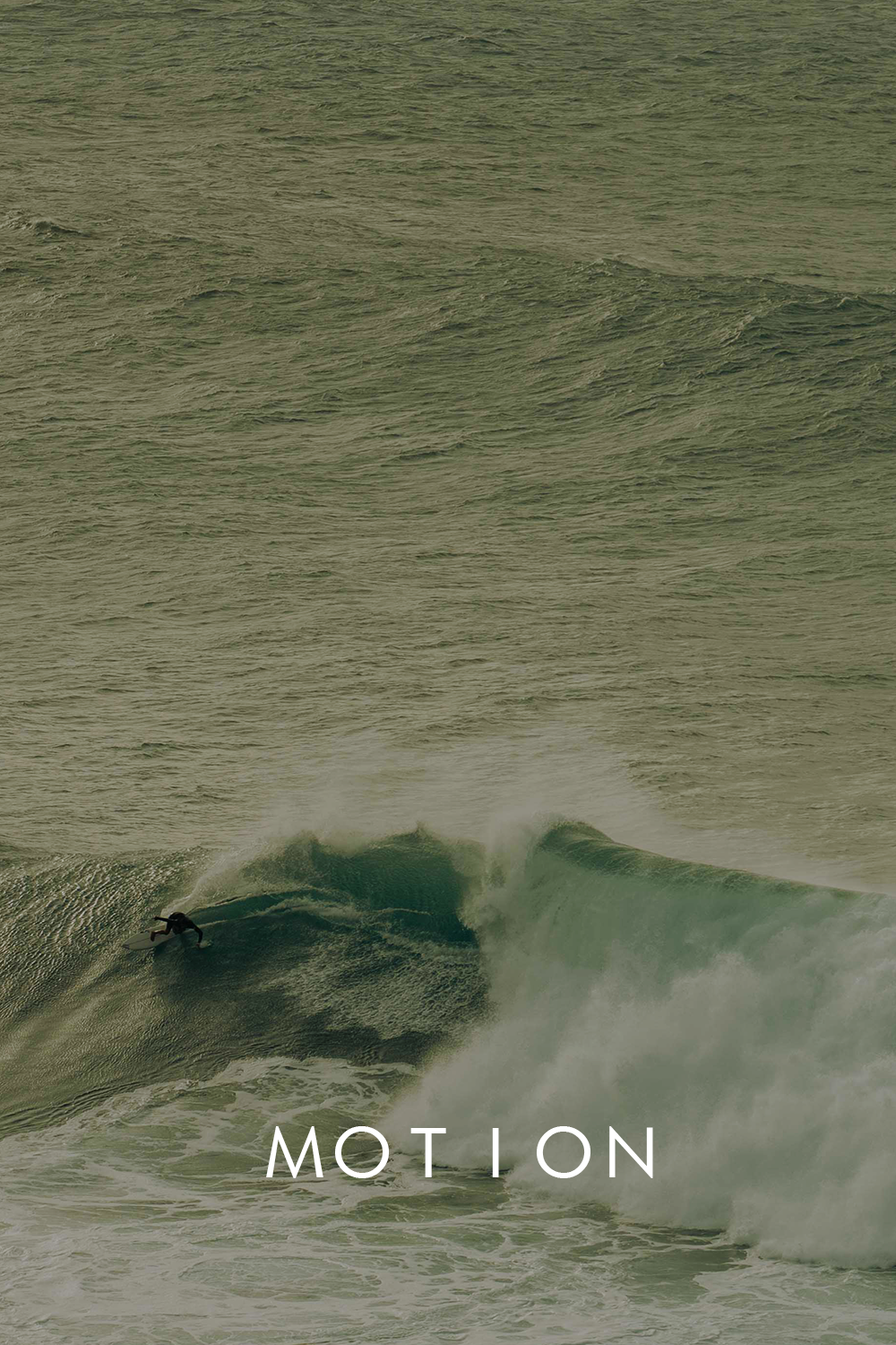 MOTION1.png
