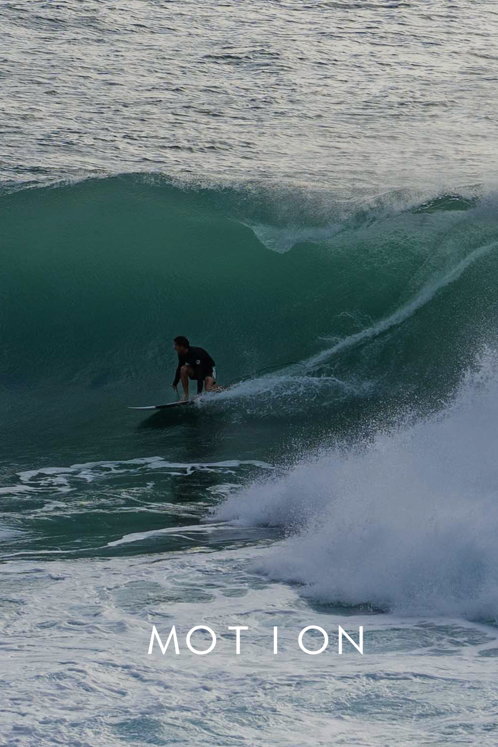 MOTION 2.png