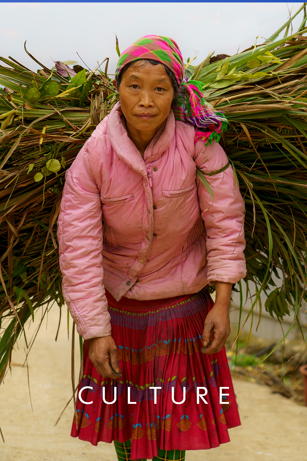 CULTURE.png