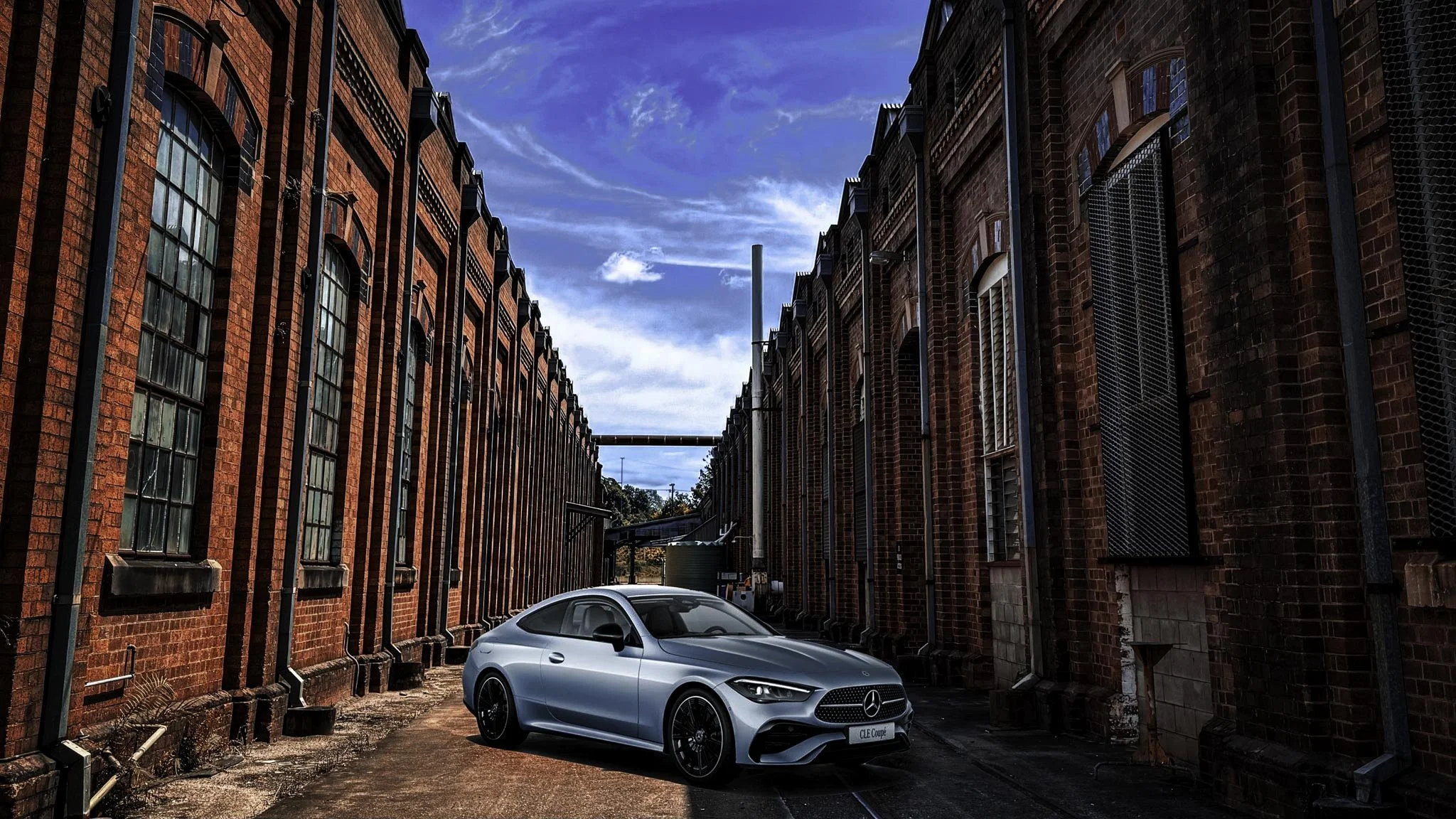 20241018-20241018-c300 copy-4.jpg