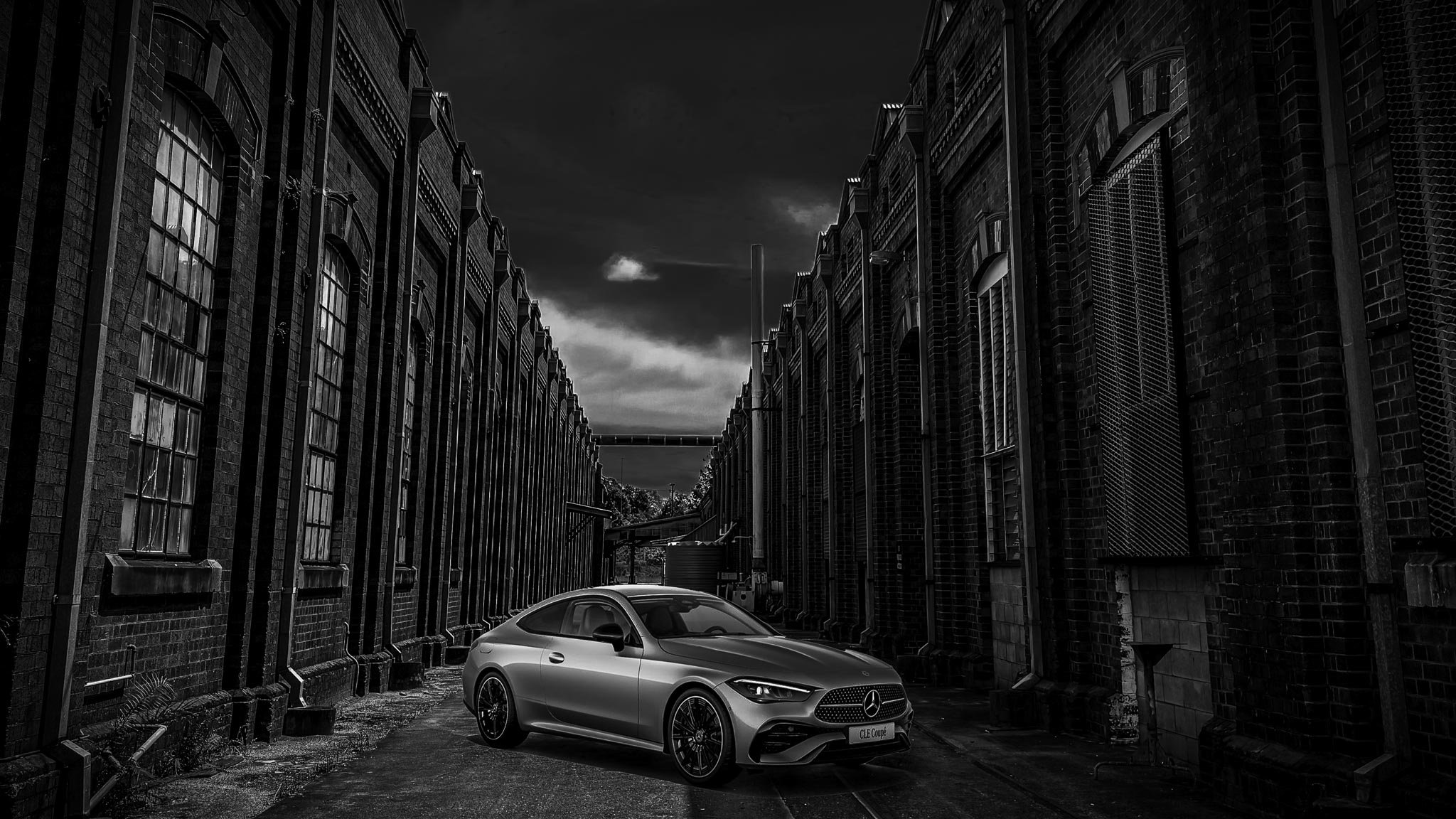 20241018-20241018-c300 copy-2-2.jpg