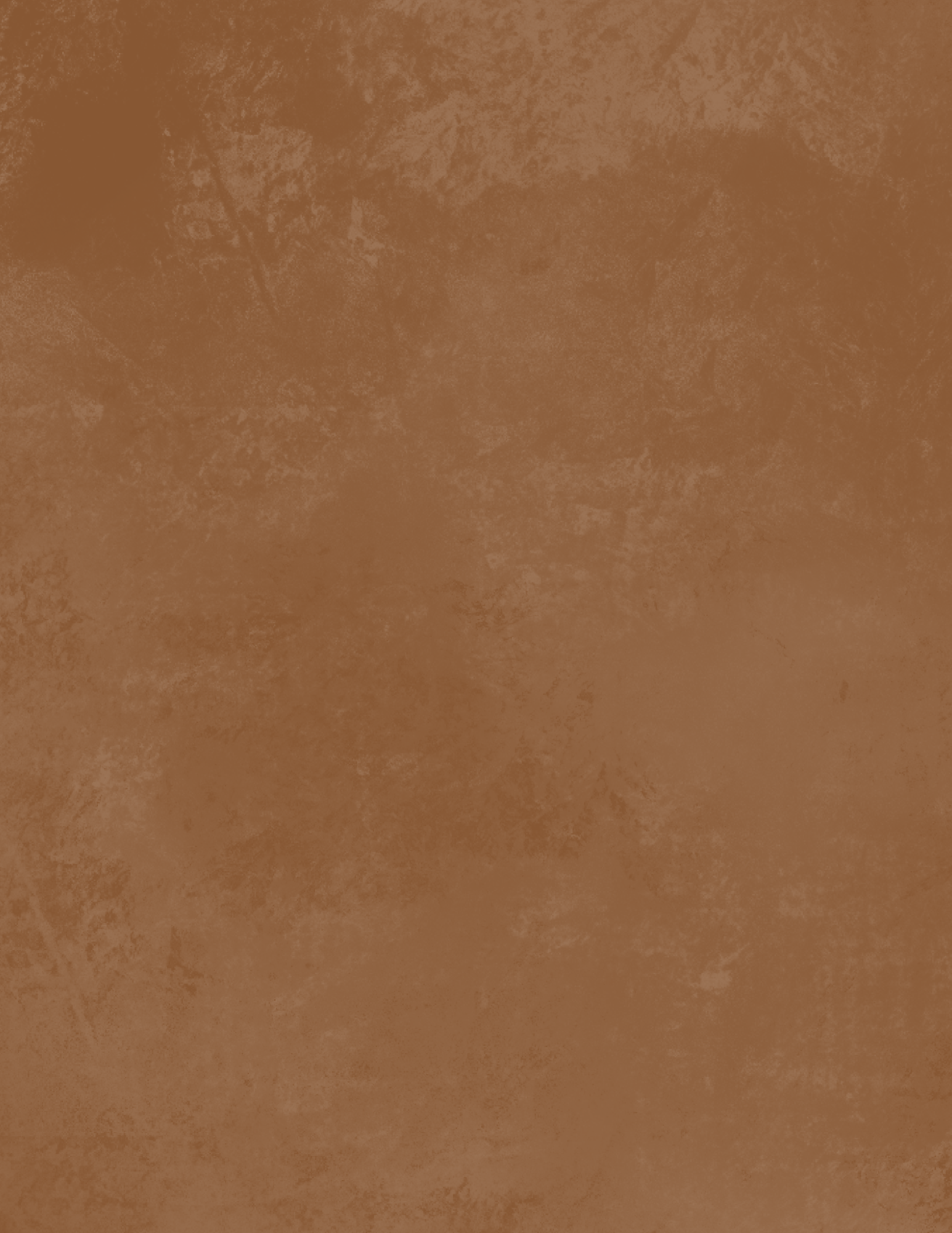 A close-up view of a brown, textured appearance.