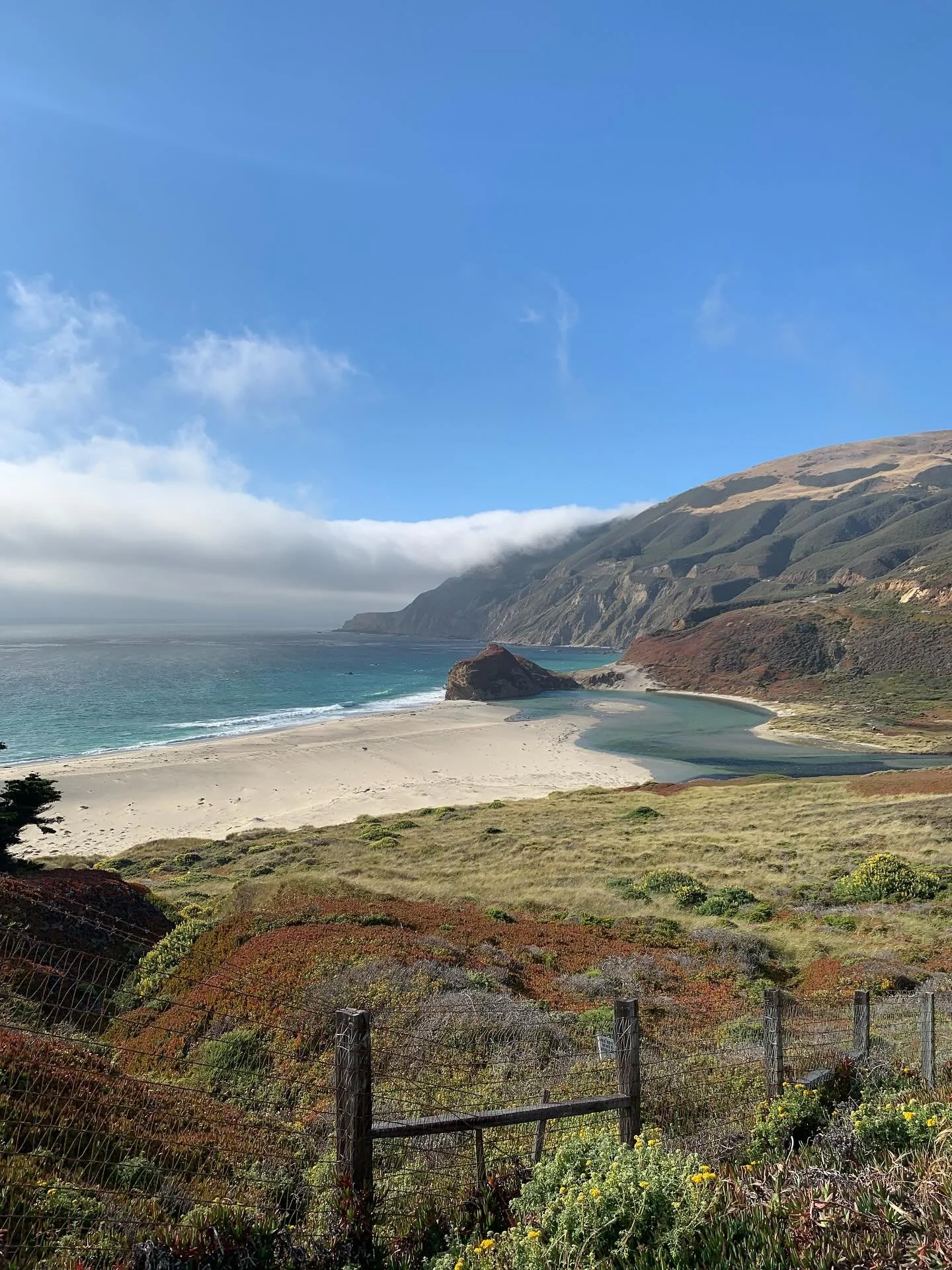 I recently completed @whapio_and_thematrona Holistic Doula Program &amp; am feeling so appreciative &amp; inspired. 

I&rsquo;ve done other trainings but this one really blew my mind &amp; I&rsquo;m just feeling so grateful to learn from an elder mid