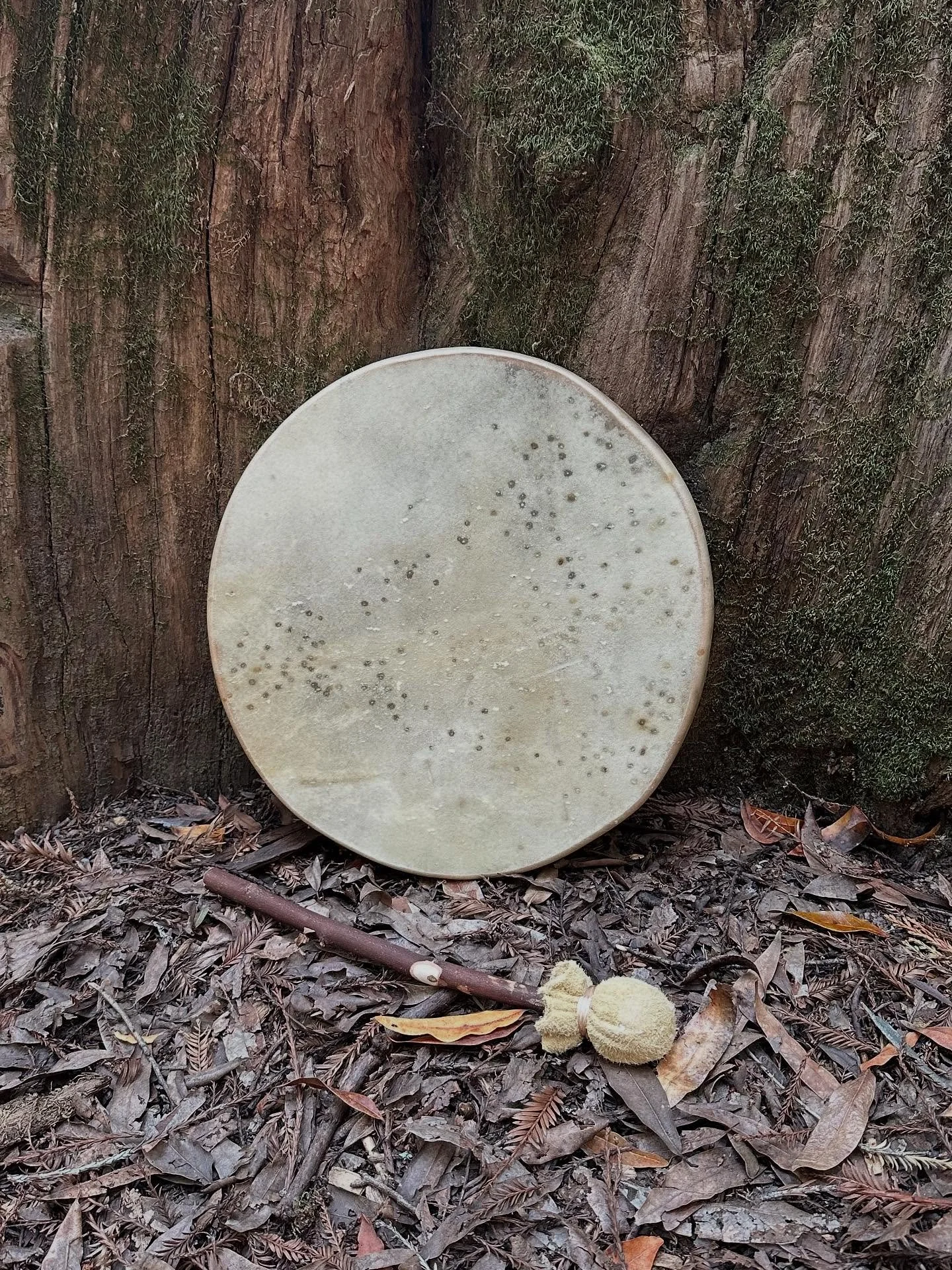 This drum was born this past Mother&rsquo;s Day. Made by my son &amp; I of deerskin &amp; cedar. These past few months I&rsquo;ve been getting acquainted with it. I love how the speckles look like stars in the sky. 

I find the relationship between s