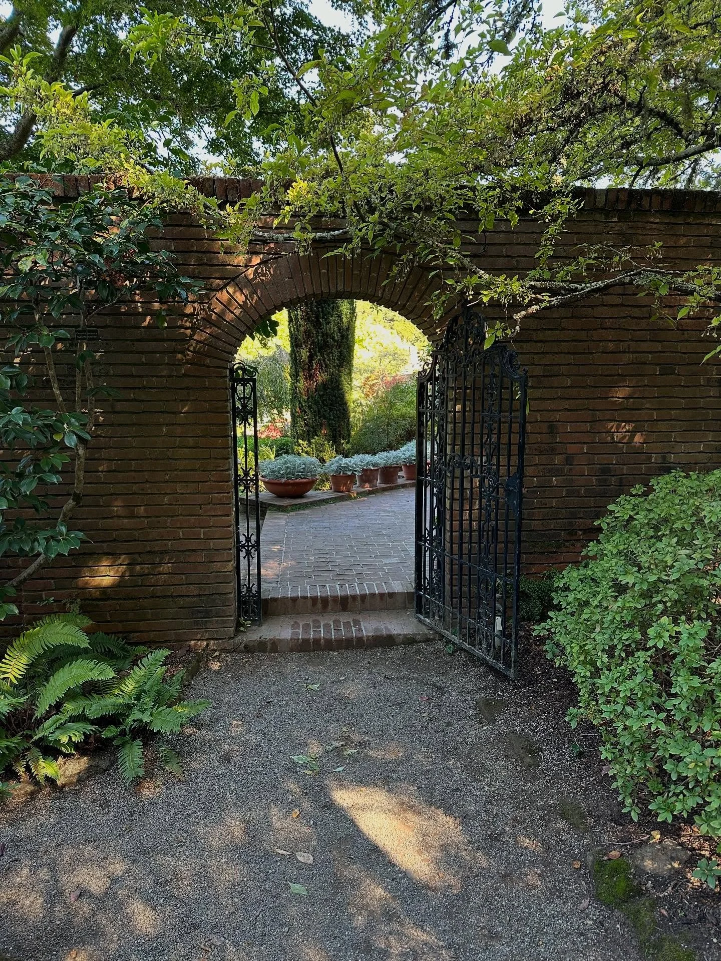 From maiden to mother (or now mother to multiple), crossing the threshold through the birth portal changes you&hellip;

Nurturing support can make all the difference in making this transition easeful. 

I have a couple of spots available (for birth &