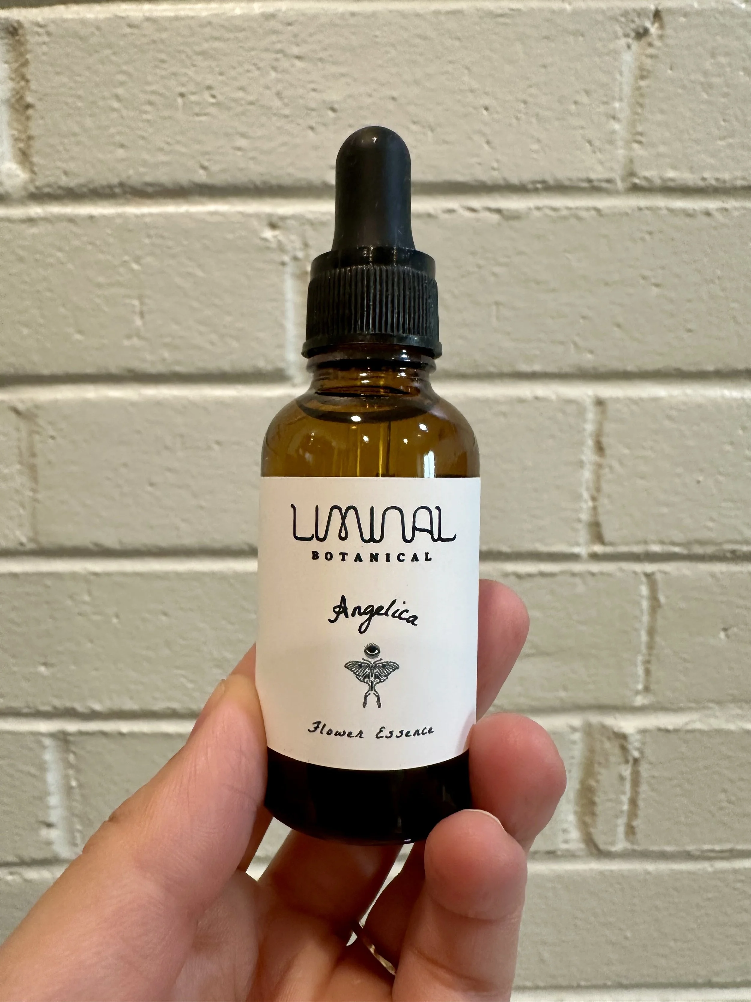 Angelica Flower Essence