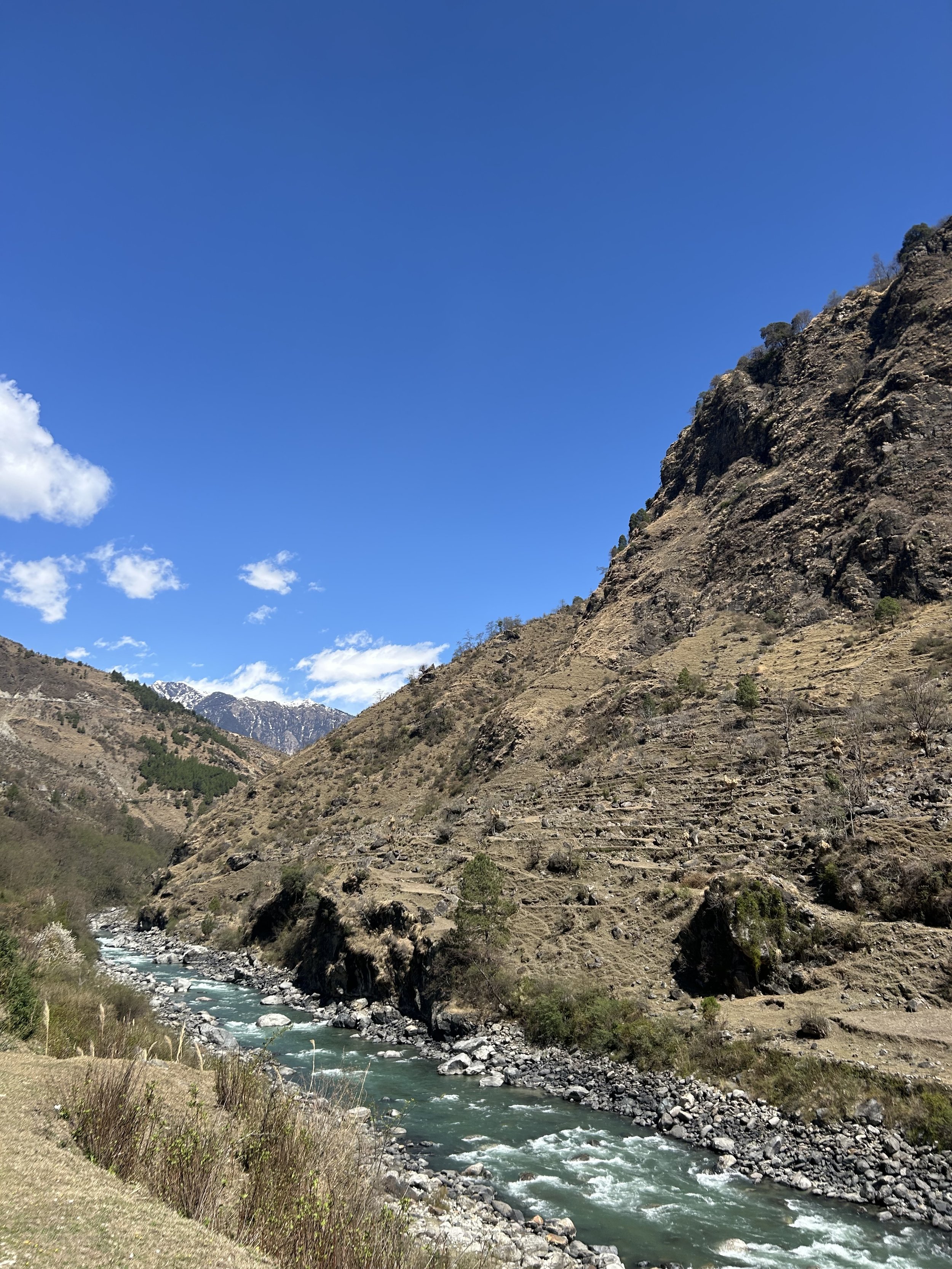 IMG_4512 12.jpeg