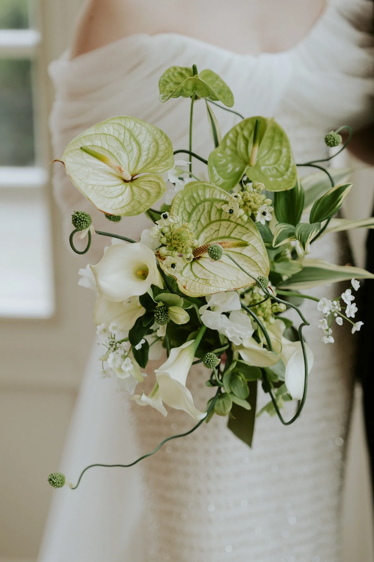 strathmore-zinnia-restaurant-maryland-micro-wedding-20.jpg