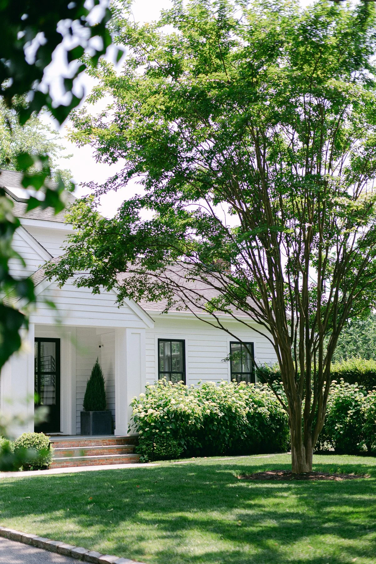 washington-dc-airbnb-summer-micro-wedding-2.jpg