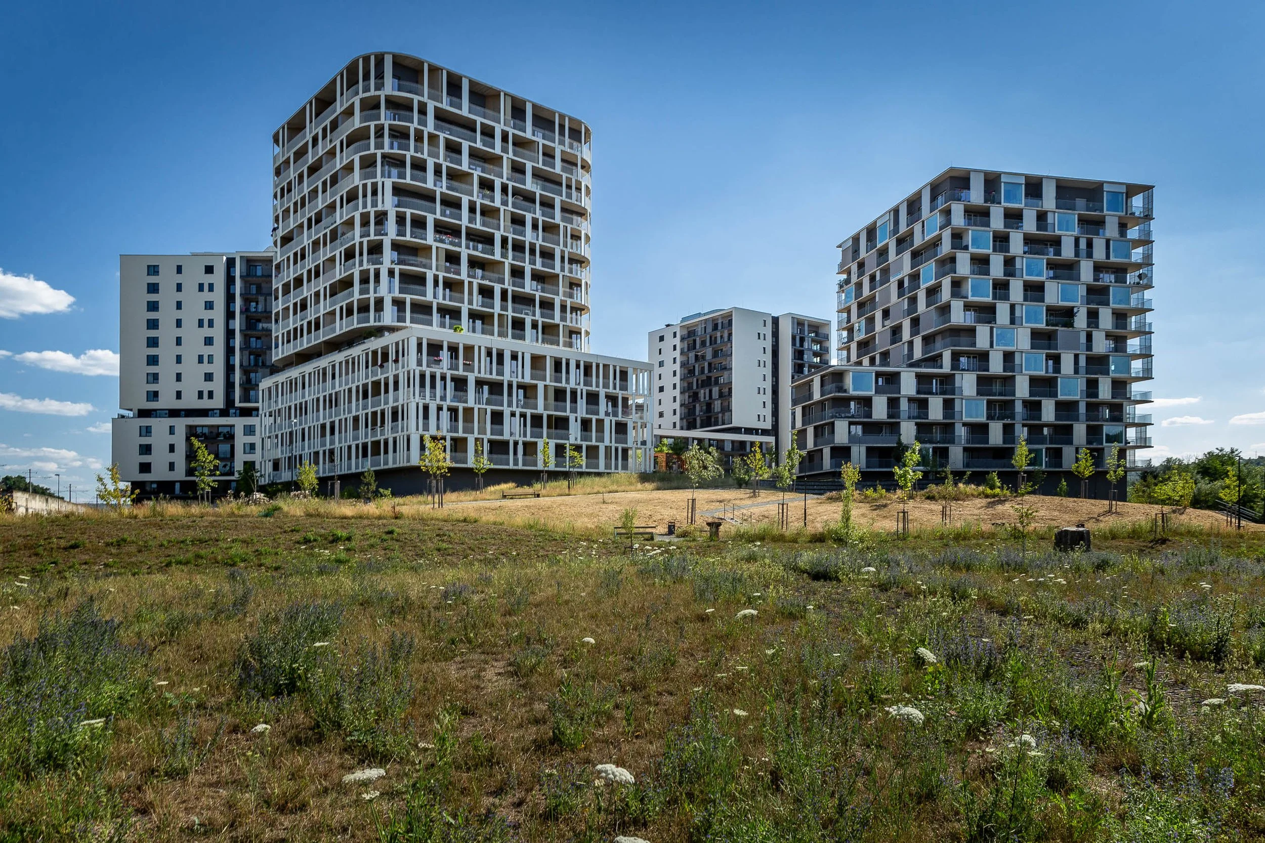 20230707_ZAHALKA_045.jpg