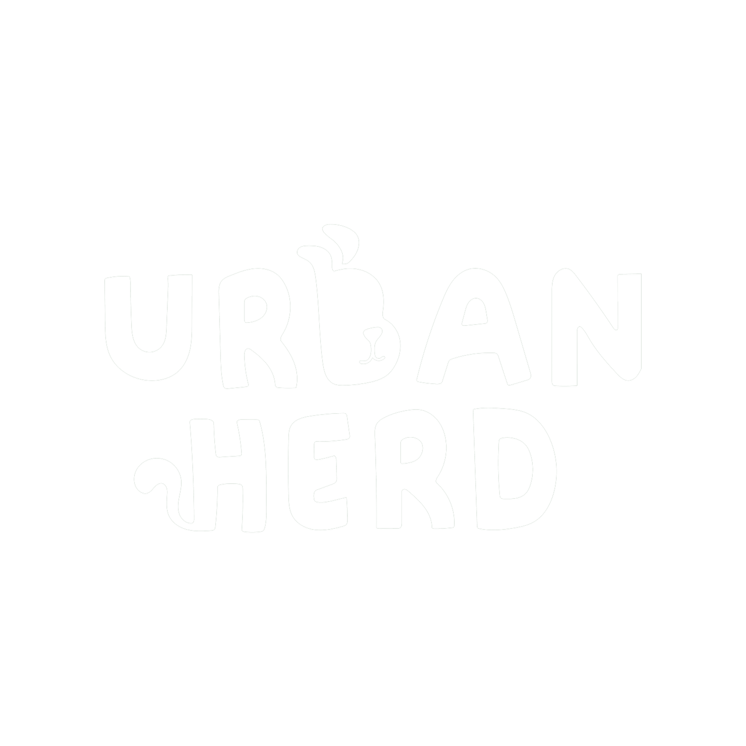 Urban Herd Personalised Dog Walking Inner West &amp; Eastern Suburbs