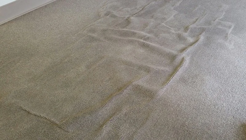 what-caused-my-carpet-to-buckle-certified-clean-care.jpg
