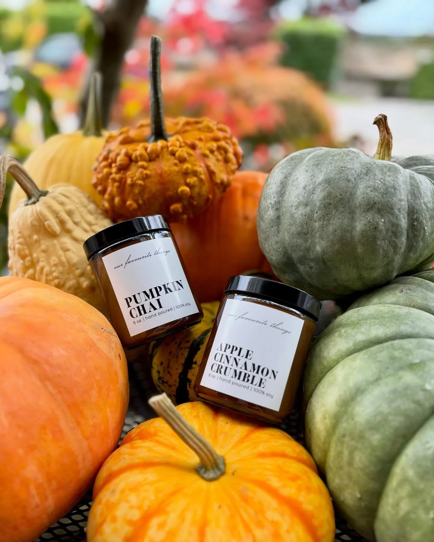 Just a few more weeks to snap up our Fall favs at @shopmakers_parkroyal @shopmakers_northvancouver and @thrivegreeneryandgifts 
🍁 🍂 🎃 🍎 ☕️