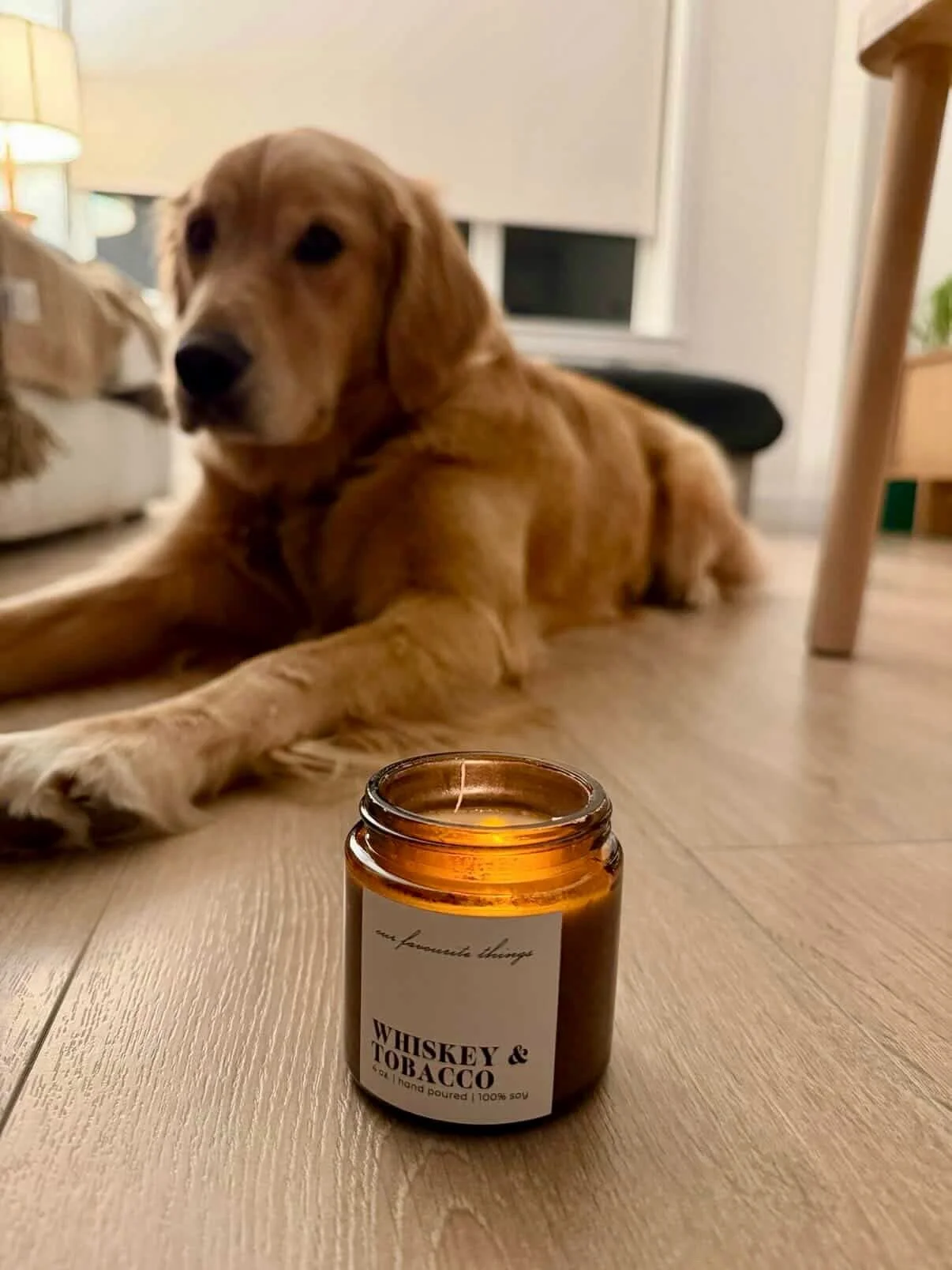 As it turns out, our candle lovers include some four legged friends!! 🔥 Cookie&rsquo;s owner says she&rsquo;s a fan of Whiskey &amp; Tobacco but loves Nordic Pine best. 🐶 

Thanks for sending us these adorable photos @cookie.northshore 🐾 

#candle