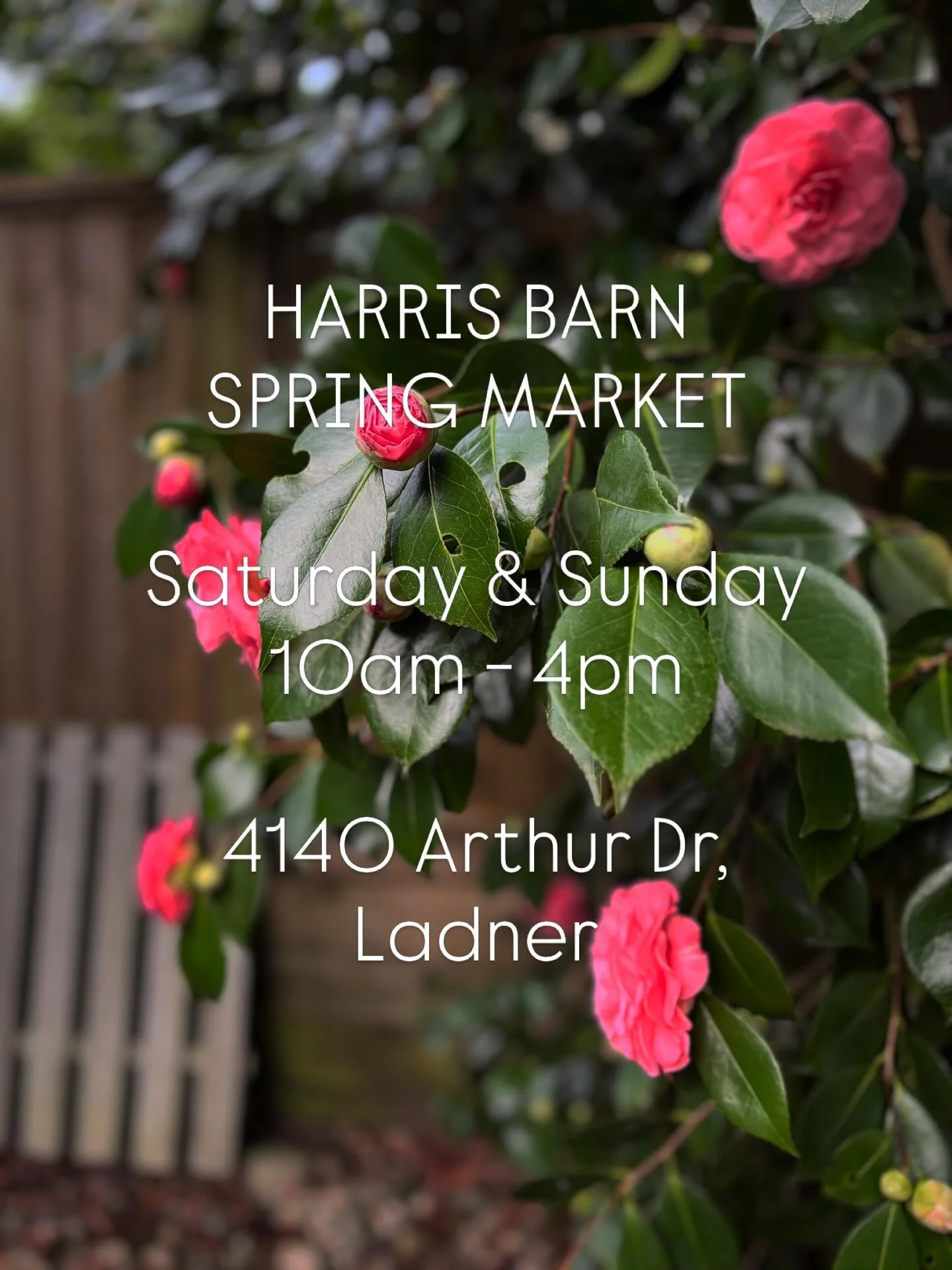 Swing by this Saturday &amp; Sunday (April 18/19) from 10am - 4pm. It&rsquo;s always a good time with @thecollectivemarkets! We can&rsquo;t wait 🙌🏼