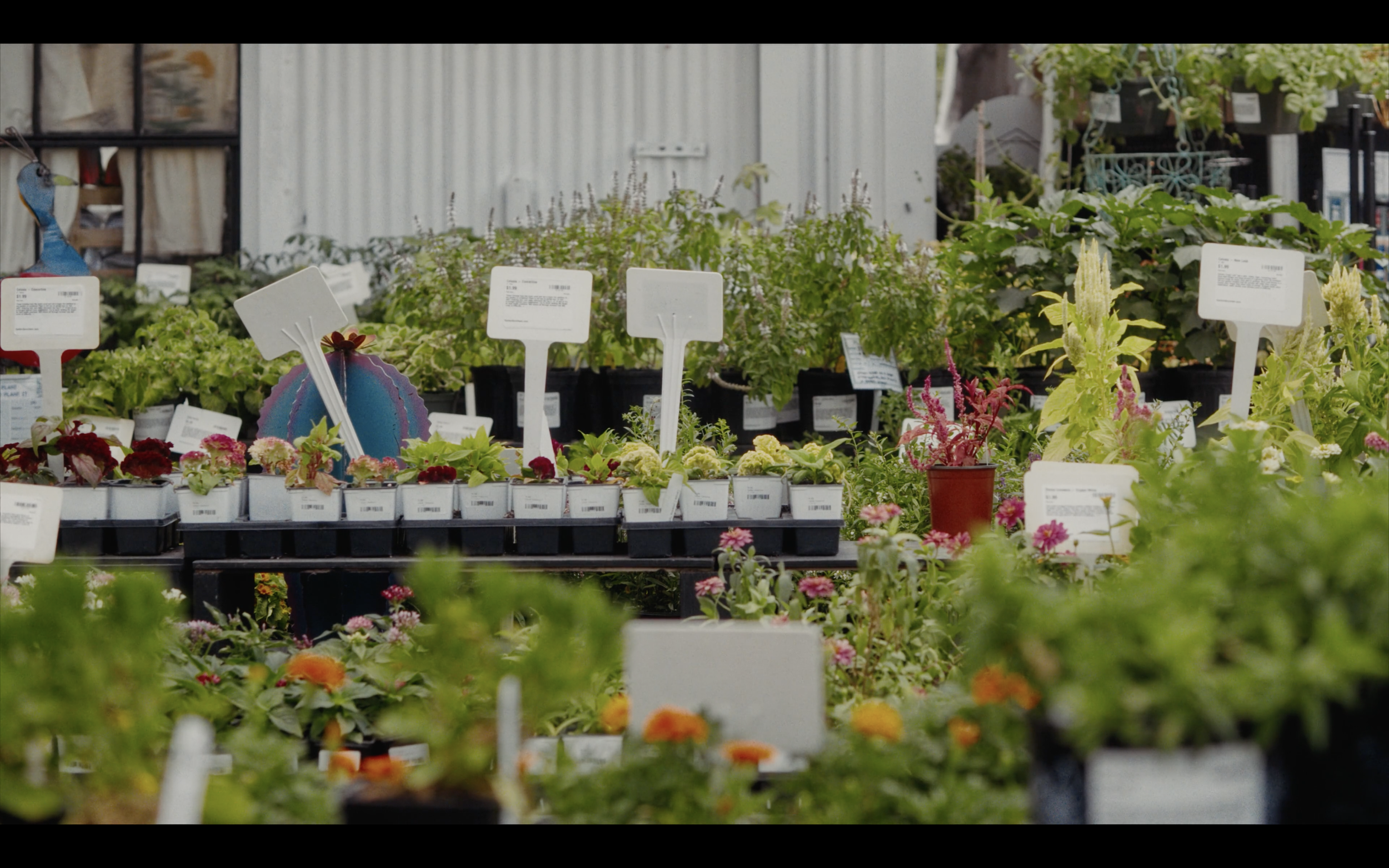 garden175.png